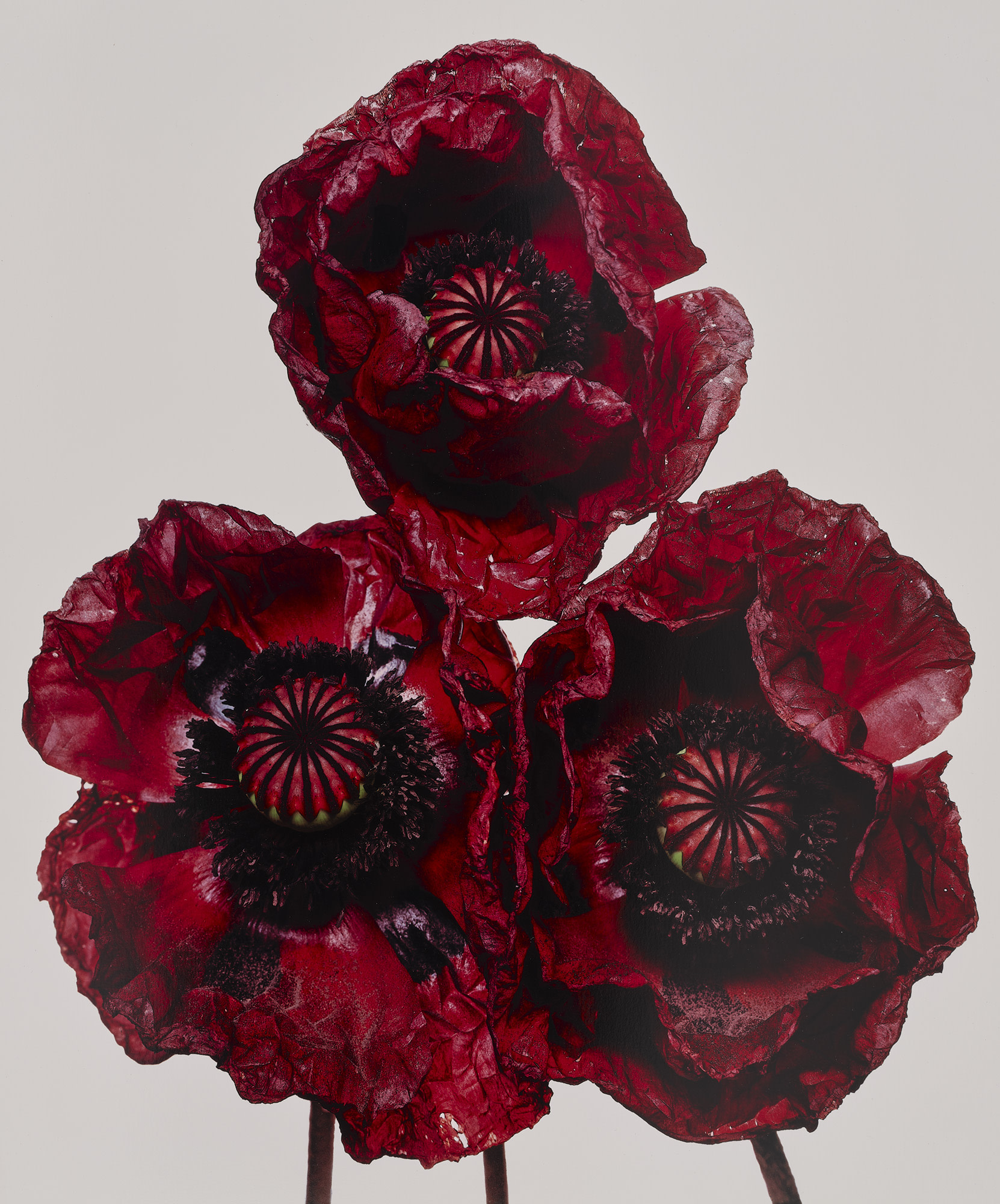 Irving Penn Visual Language: The Art of Irving Penn