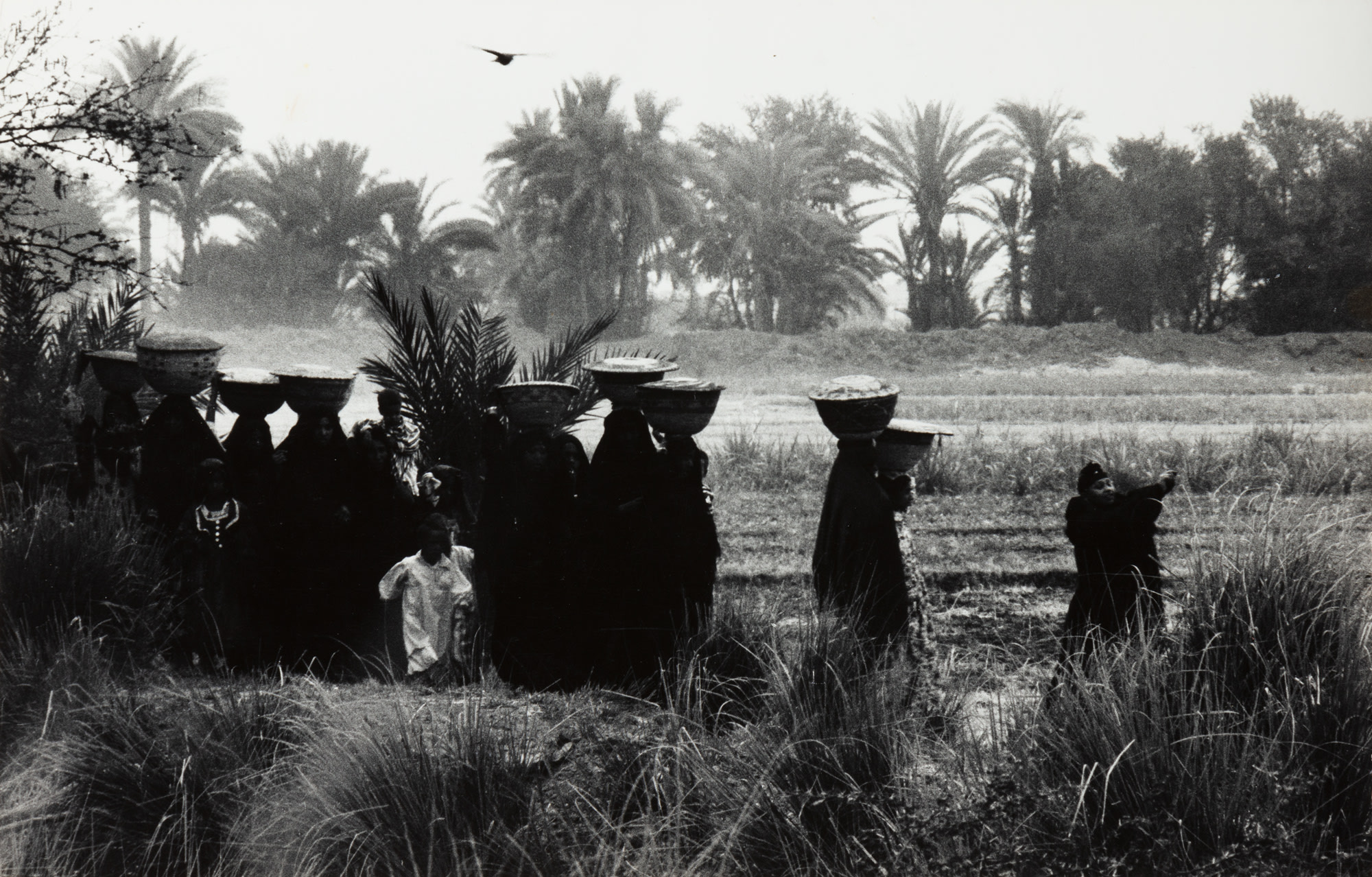 <p><strong>DOROTHEA LANGE</strong><em><strong> </strong>Procession Bearing Food for the Dead, Egypt</em>, 1963</p>