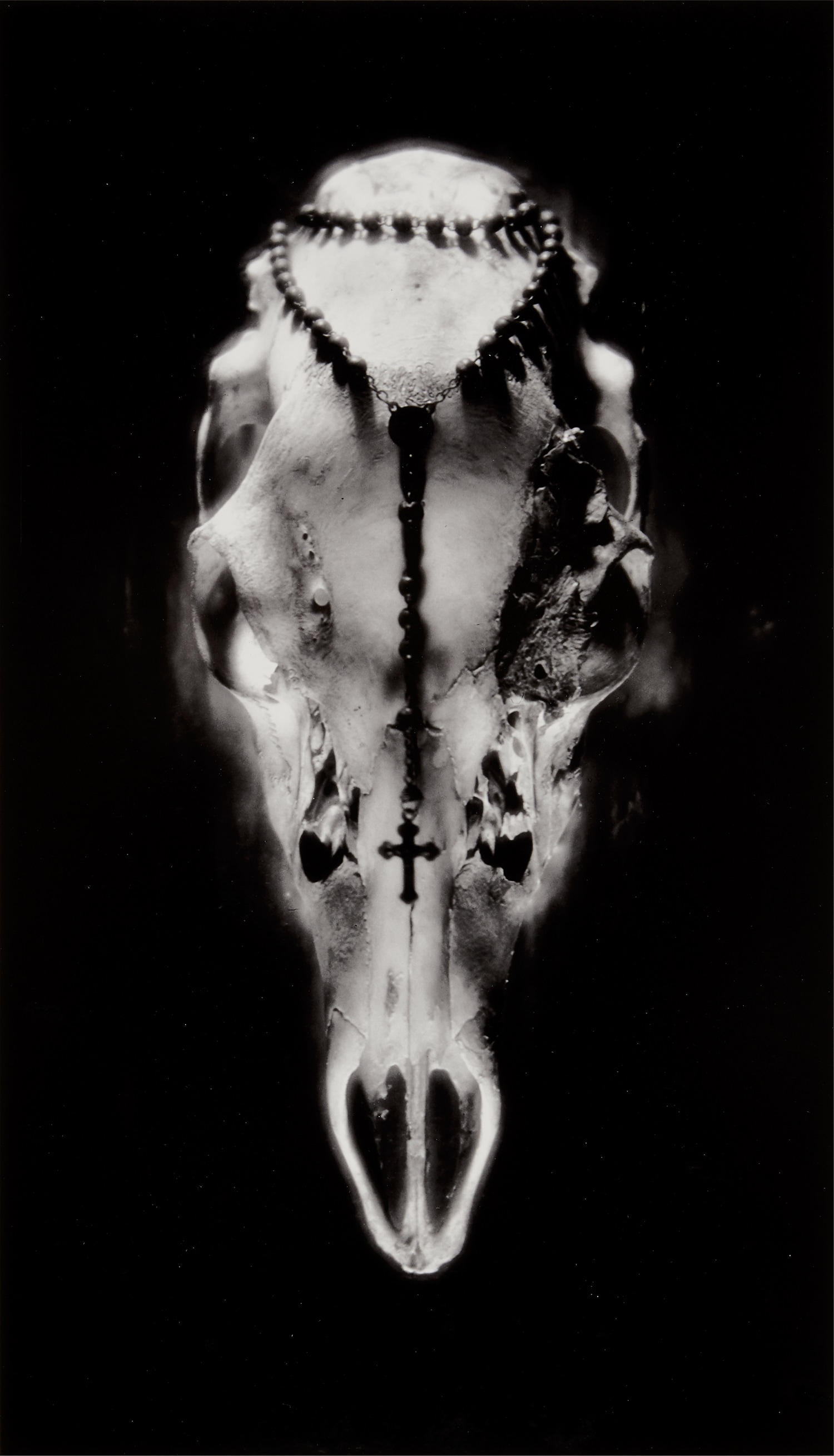 Ruth Bernhard Inside the Photograph: Further Selections from