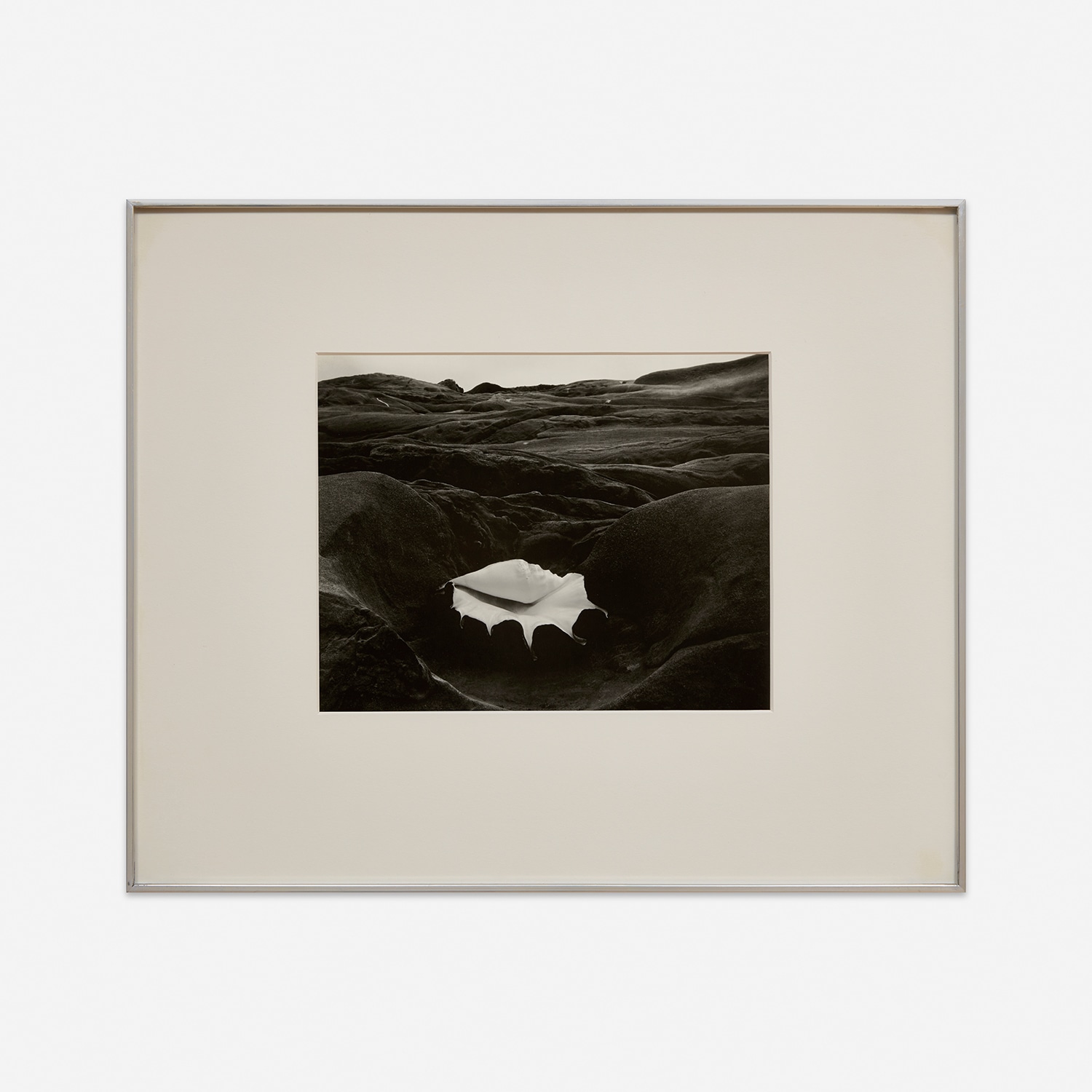 Edward Weston Inside the Photograph: Further Selections from