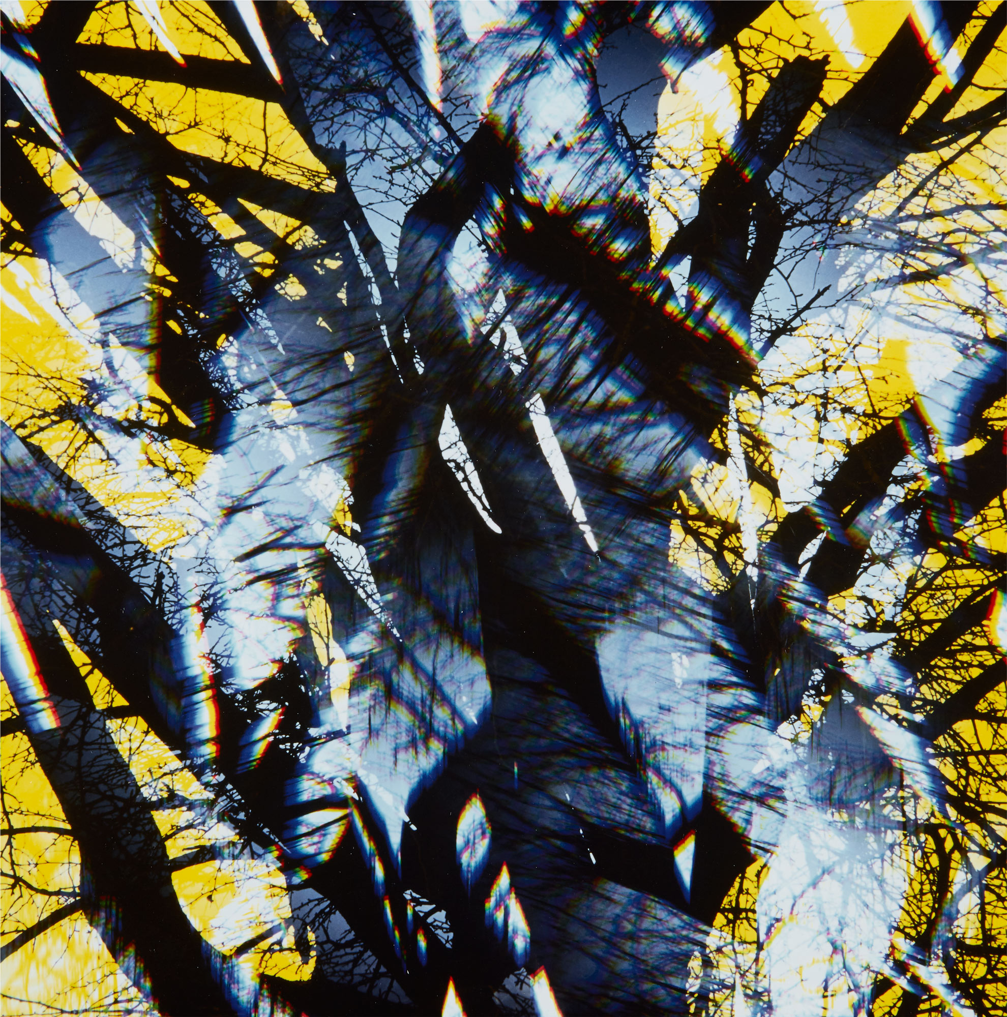 <p><strong> YASUHIRO ISHIMOTO</strong> <em>Group of 7: Floral Studies, </em>1973-1990s</p>