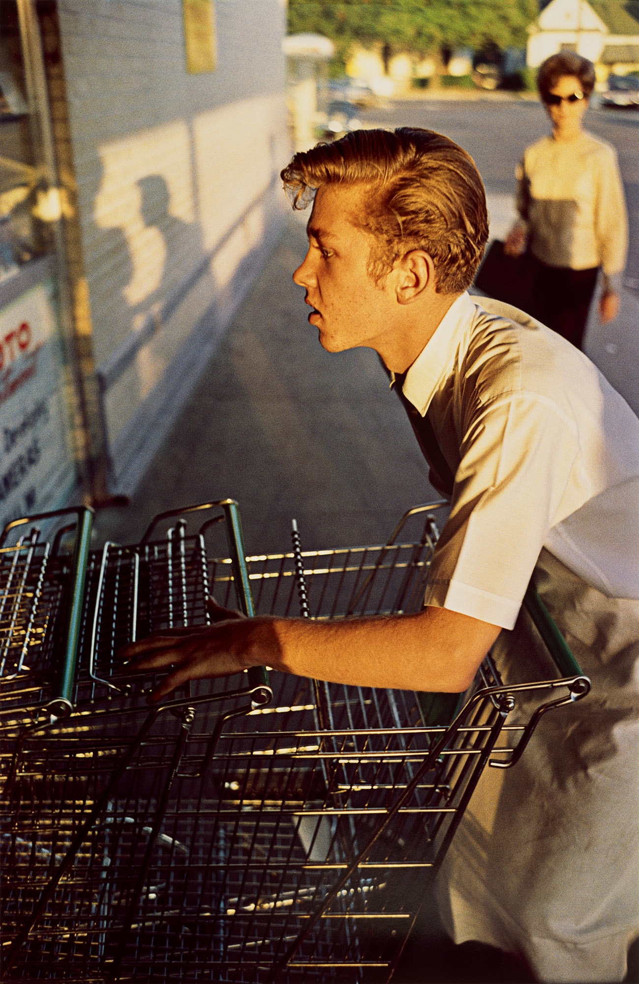 Color Vision: Masterworks by William Eggleston from Guy