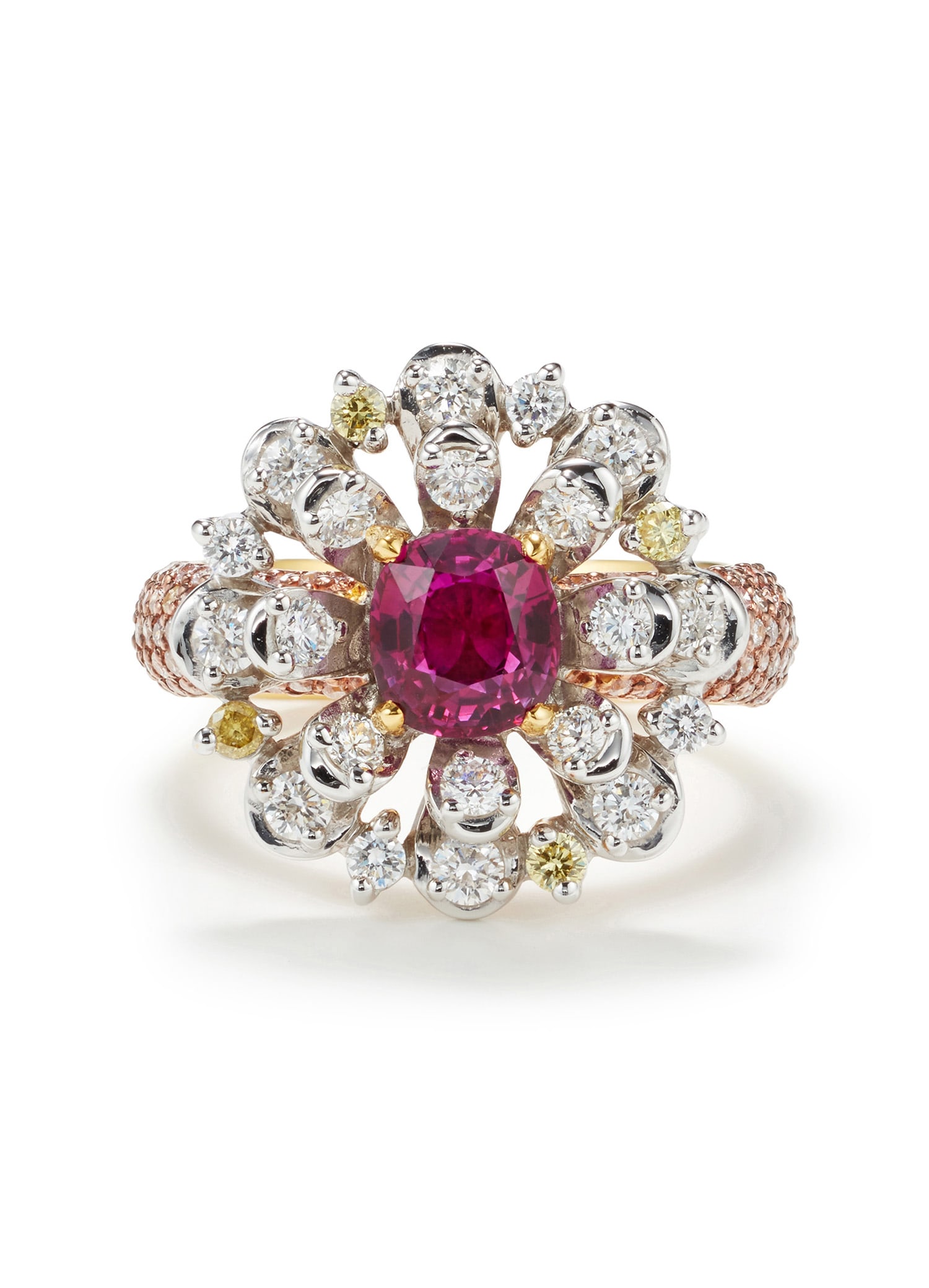 Brought to you by Phillips