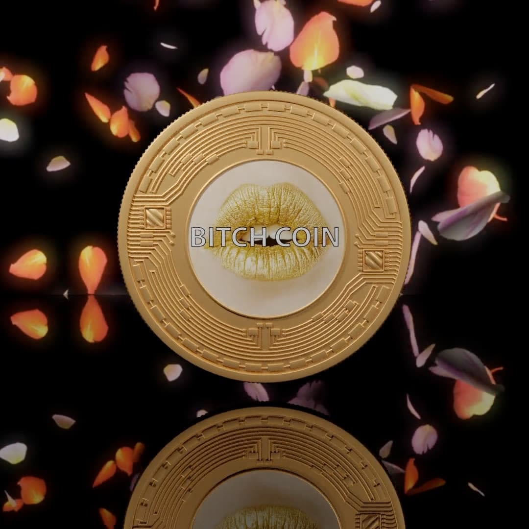 <p><strong>SARAH MEYOHAS</strong> <em>Bitchcoin NFT</em></p>