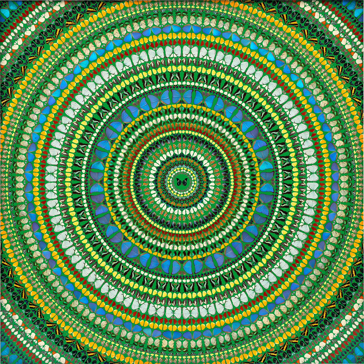Yayoi Kusama - 20th Century & Contemporary Art Evening Sale
