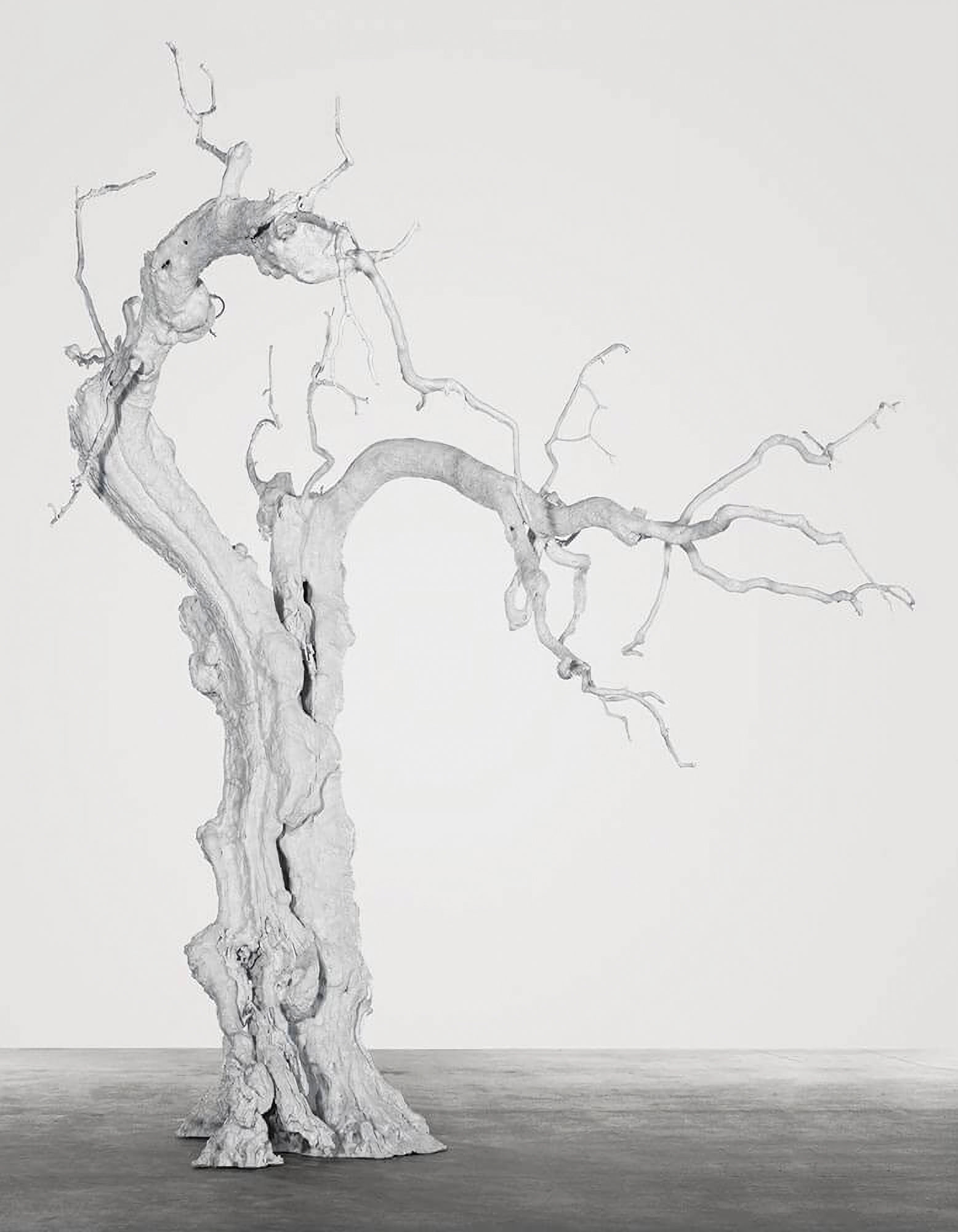 <p><strong>UGO RONDINONE </strong><em>for what? for space and stars?</em>, 2009</p>