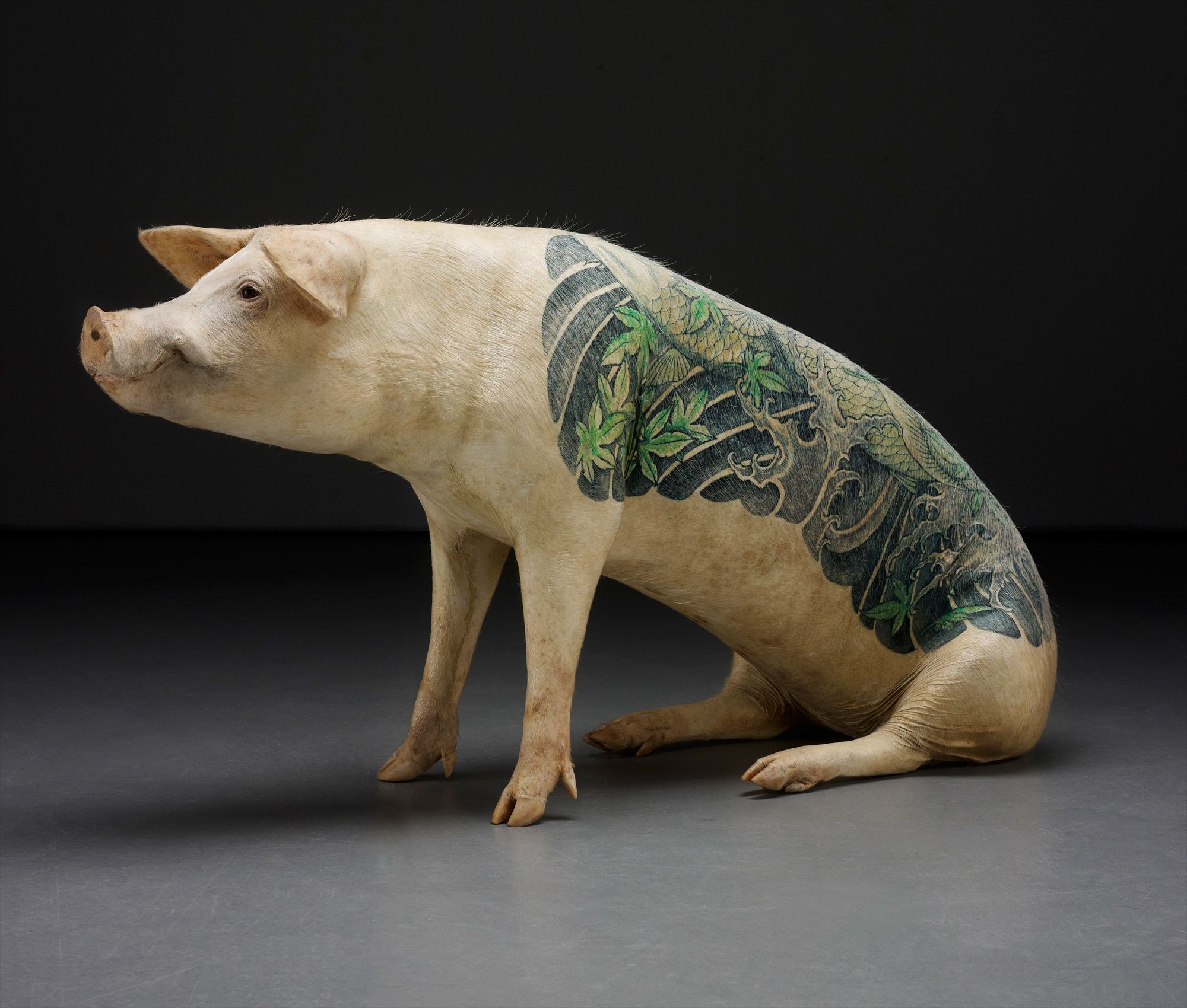 <b>WIM DELVOYE</b> <i>Untitled (Koi)</i>, 2006