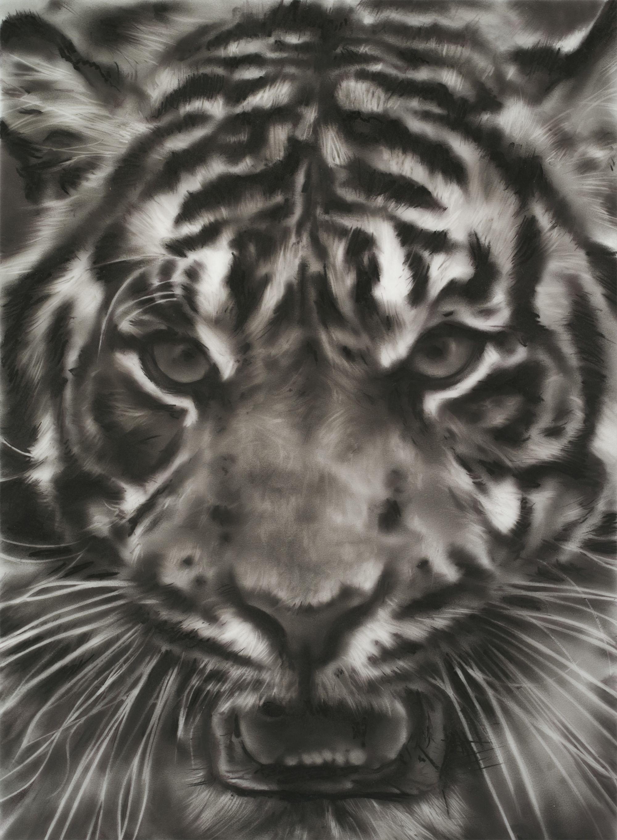 <b>ROBERT LONGO</b> <i>Study of Tiger Head 4B</i>, 2011