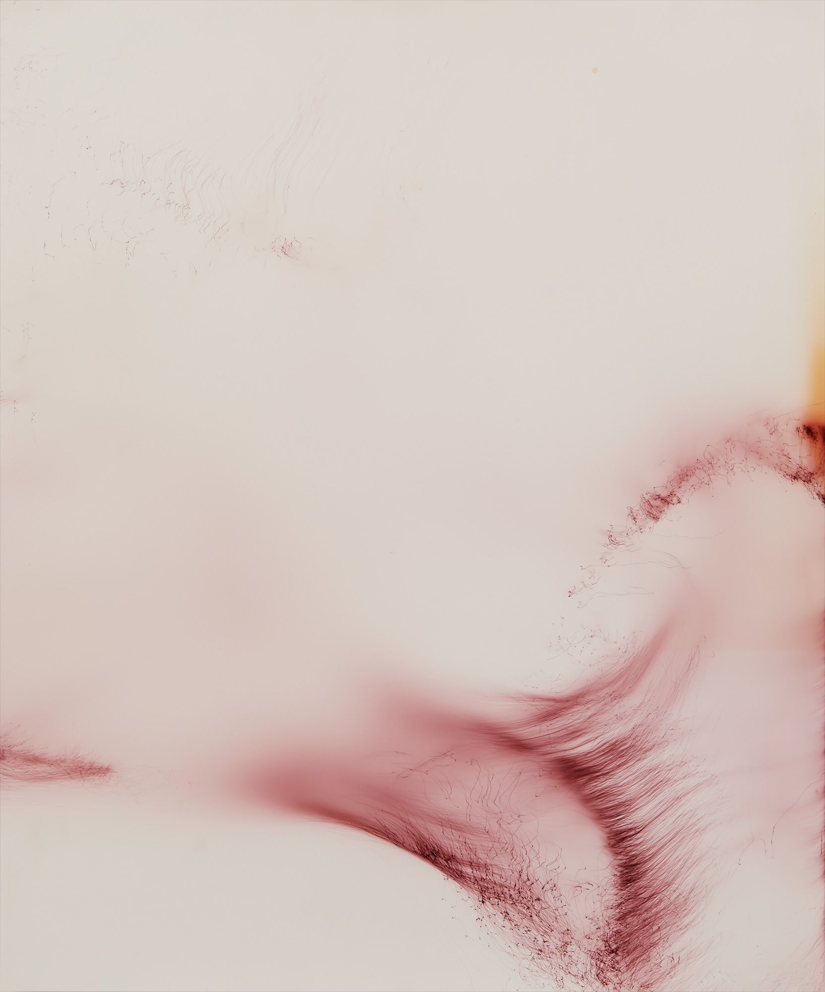 <b>WOLFGANG TILLMANS</b> <i>Freischwimmer 170</i>, 2011