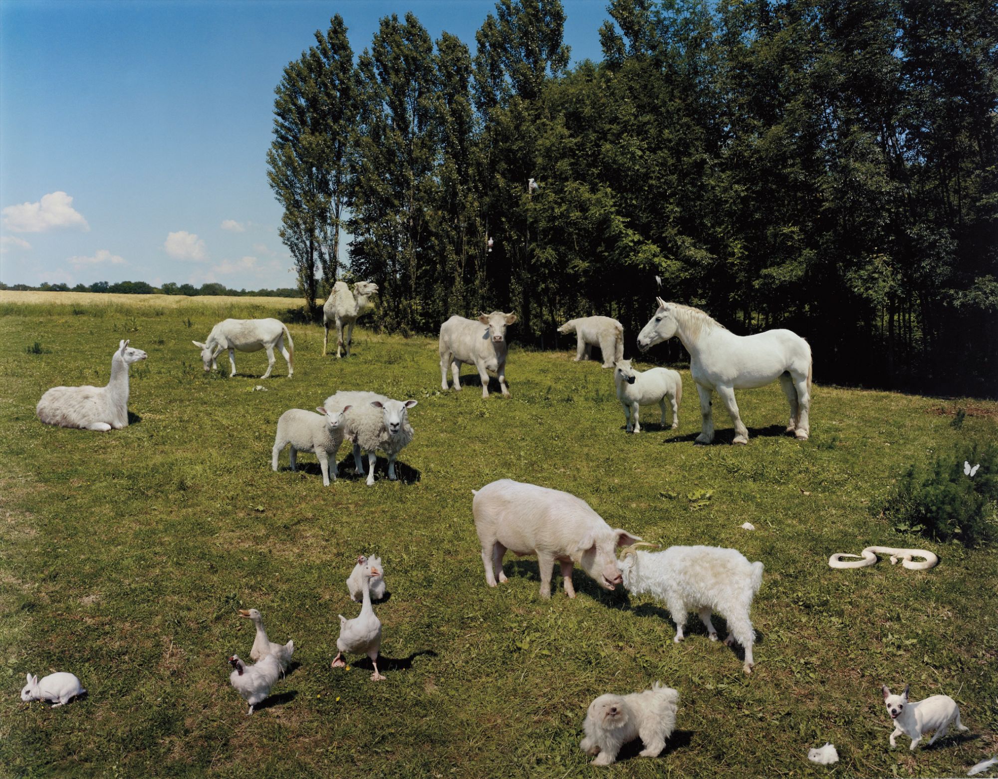 Brought to you by Phillips