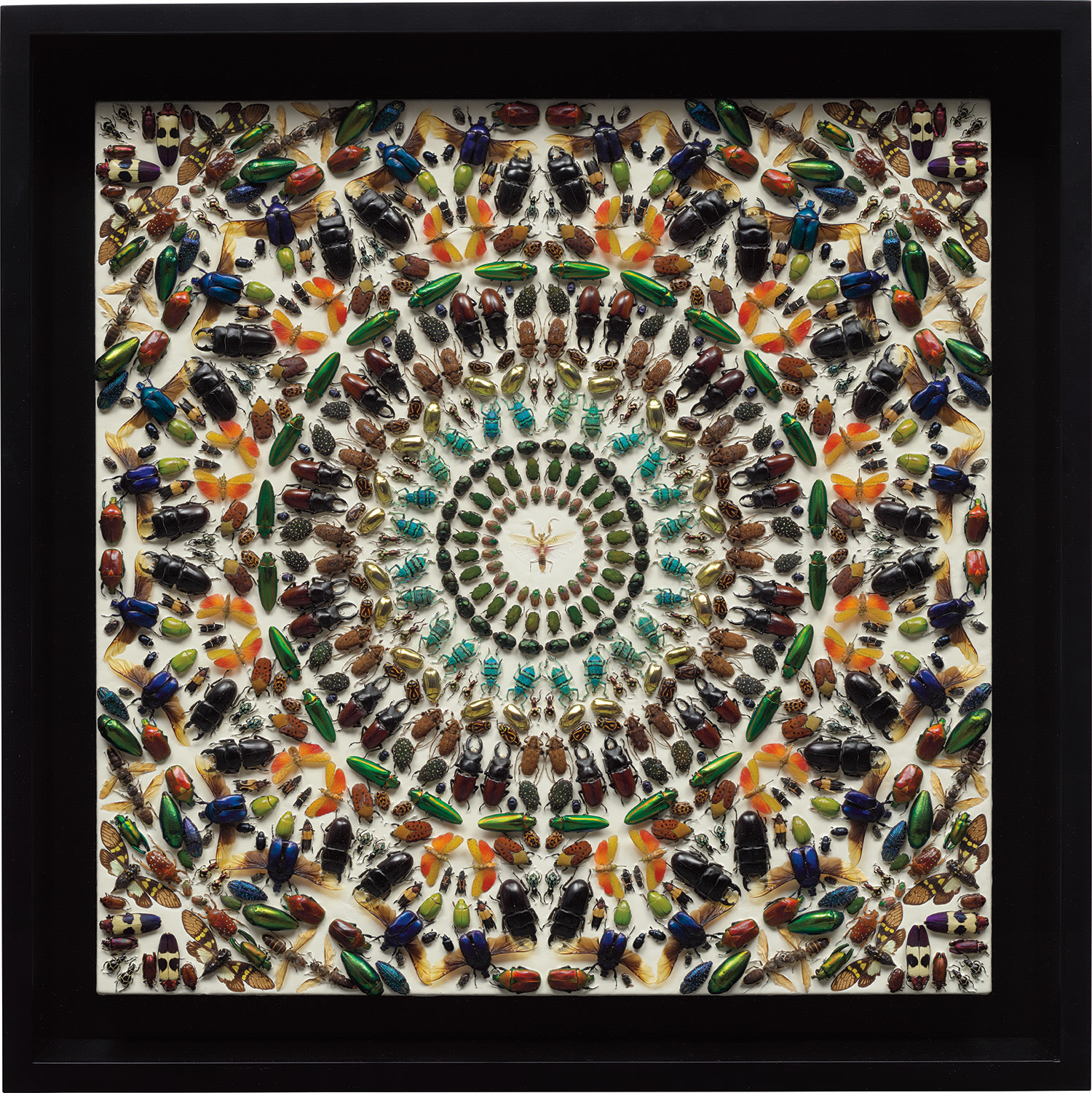 アート・デザイン・音楽 Damien Hirst ダミアンハーストDamien Hirst I want to spend アート