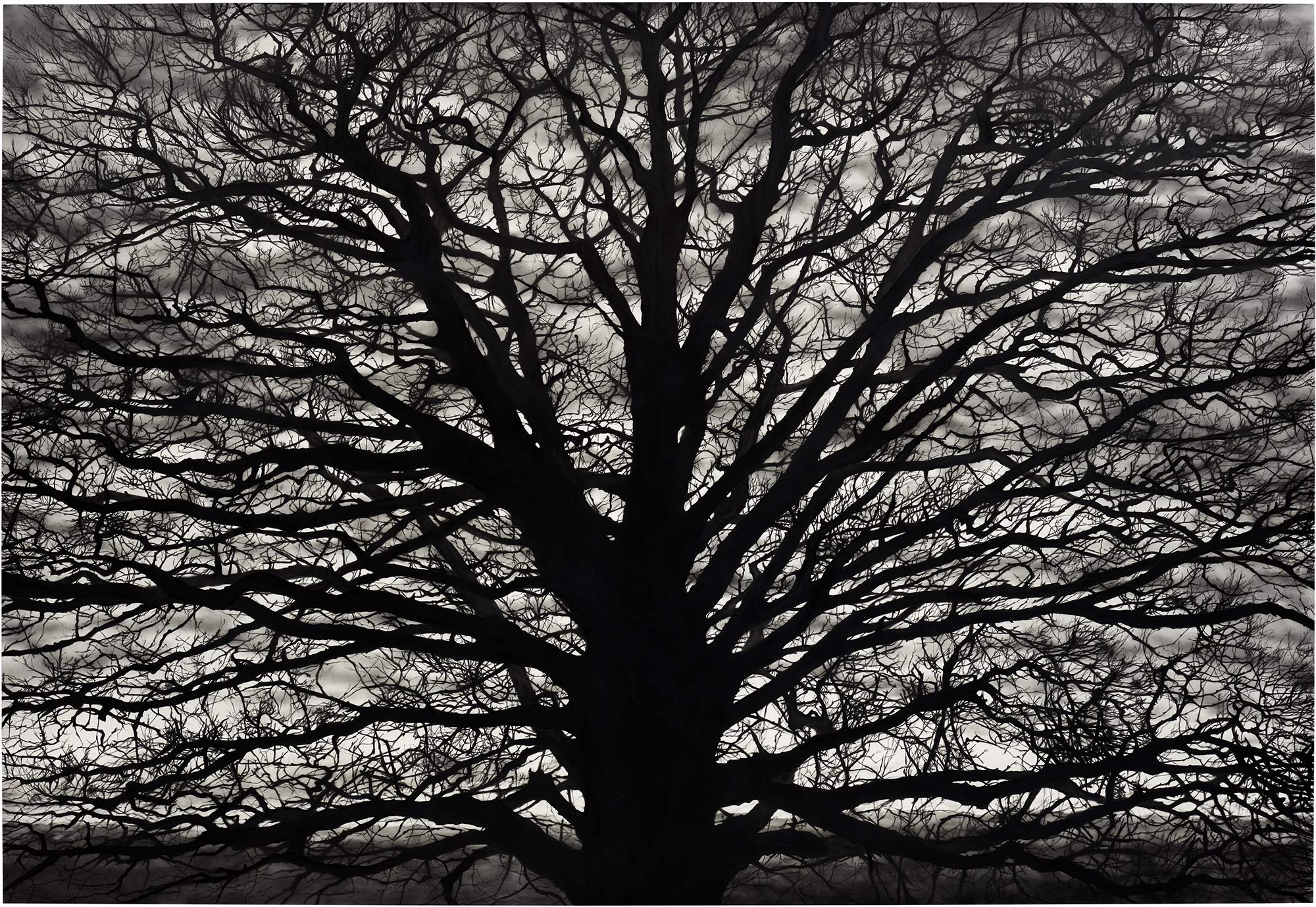 <p><strong>ROBERT LONGO</strong> <em>Untitled (Gothic Tree),</em> 2018</p>