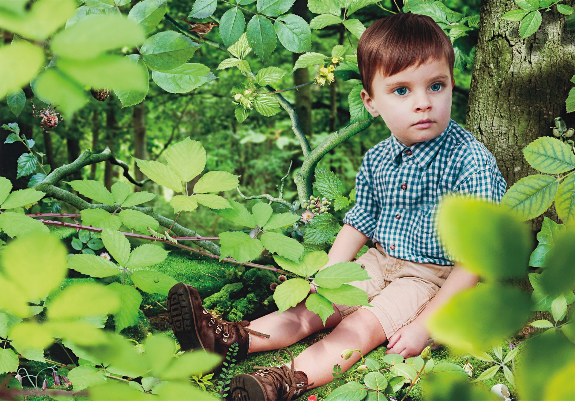 Brought to you by Phillips