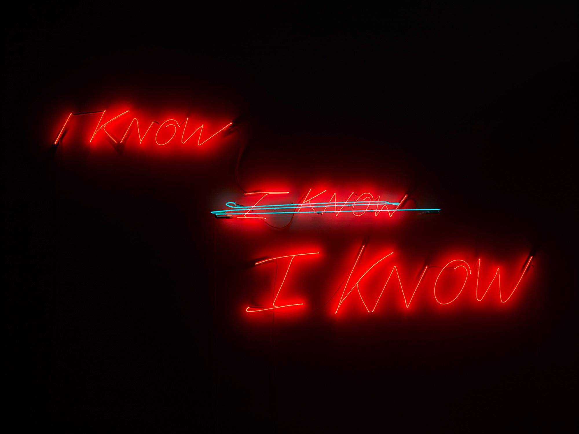 <b>TRACEY EMIN</b> <i>I know,I know,I know</i>, executed in 2002