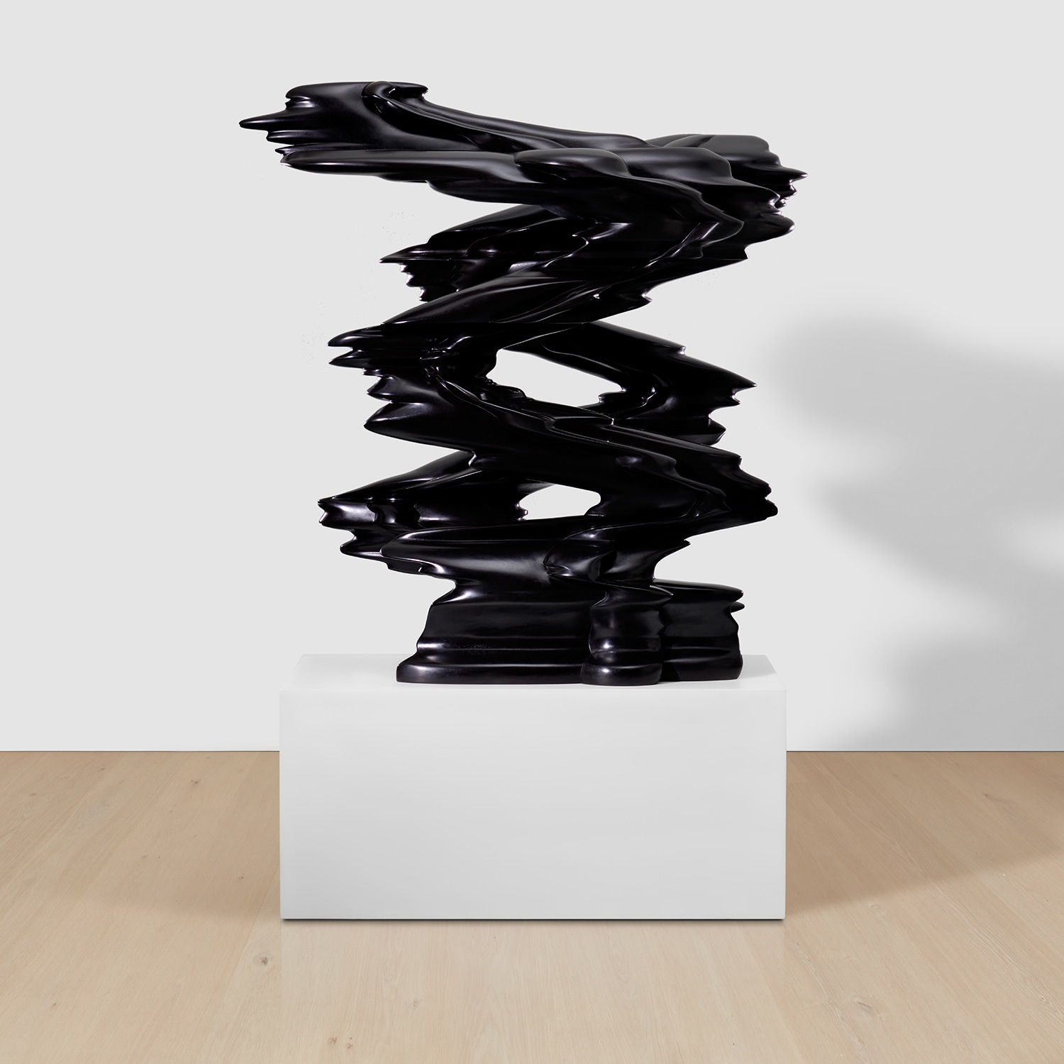 トニー・クラッグ　Tony Cragg : Signs of Life Tony Cragg: Signs of Life | Tony Cragg