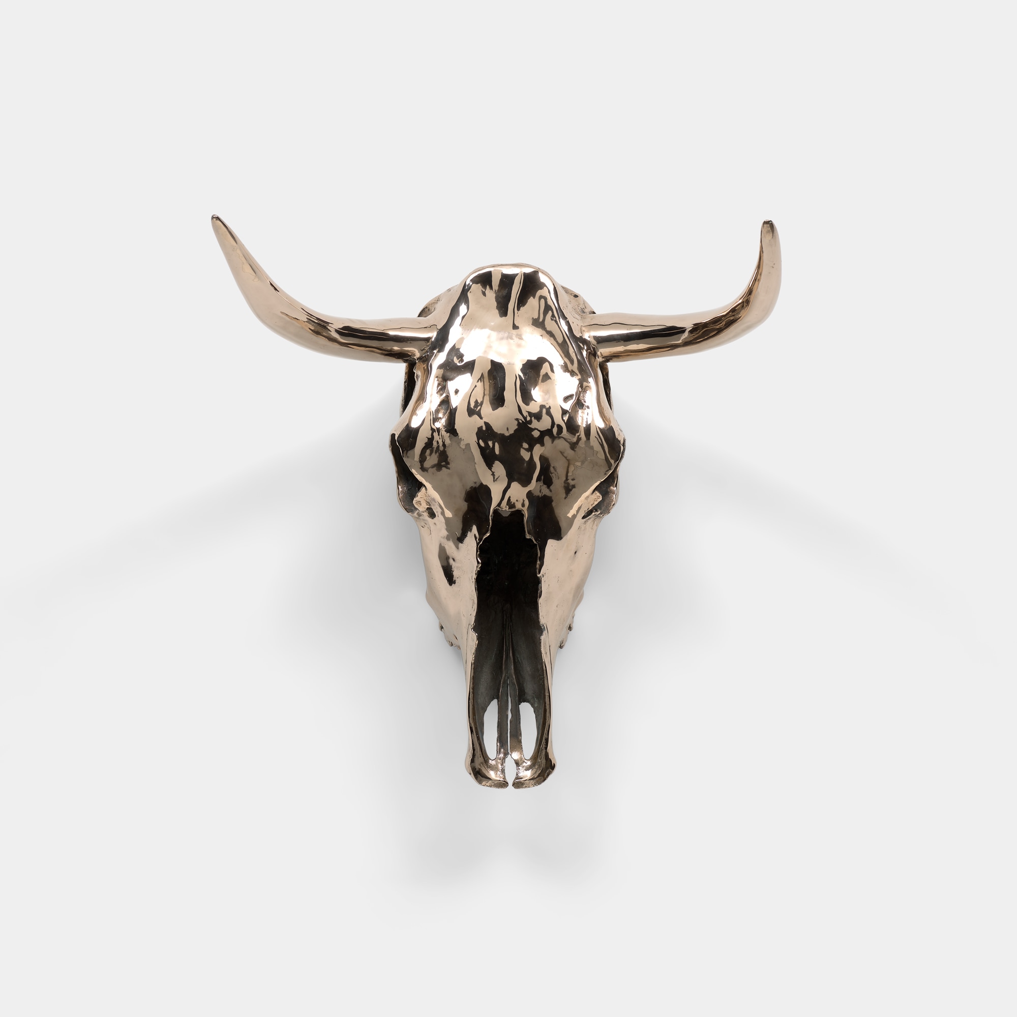 <p><strong>SHERRIE LEVINE</strong> <em>Horned Steer Skull</em>, 2002</p>
