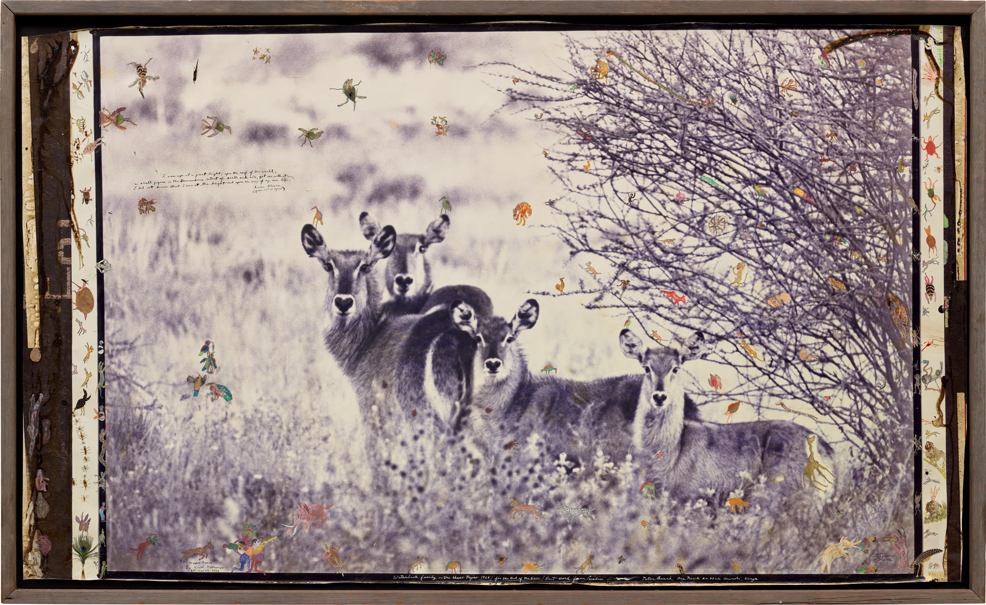 <p><strong>PETER BEARD</strong> <em>Waterbuck Family on the Uaso Nyiro / for The End of the Game / Last Word from Paradise</em>, 1968</p>

