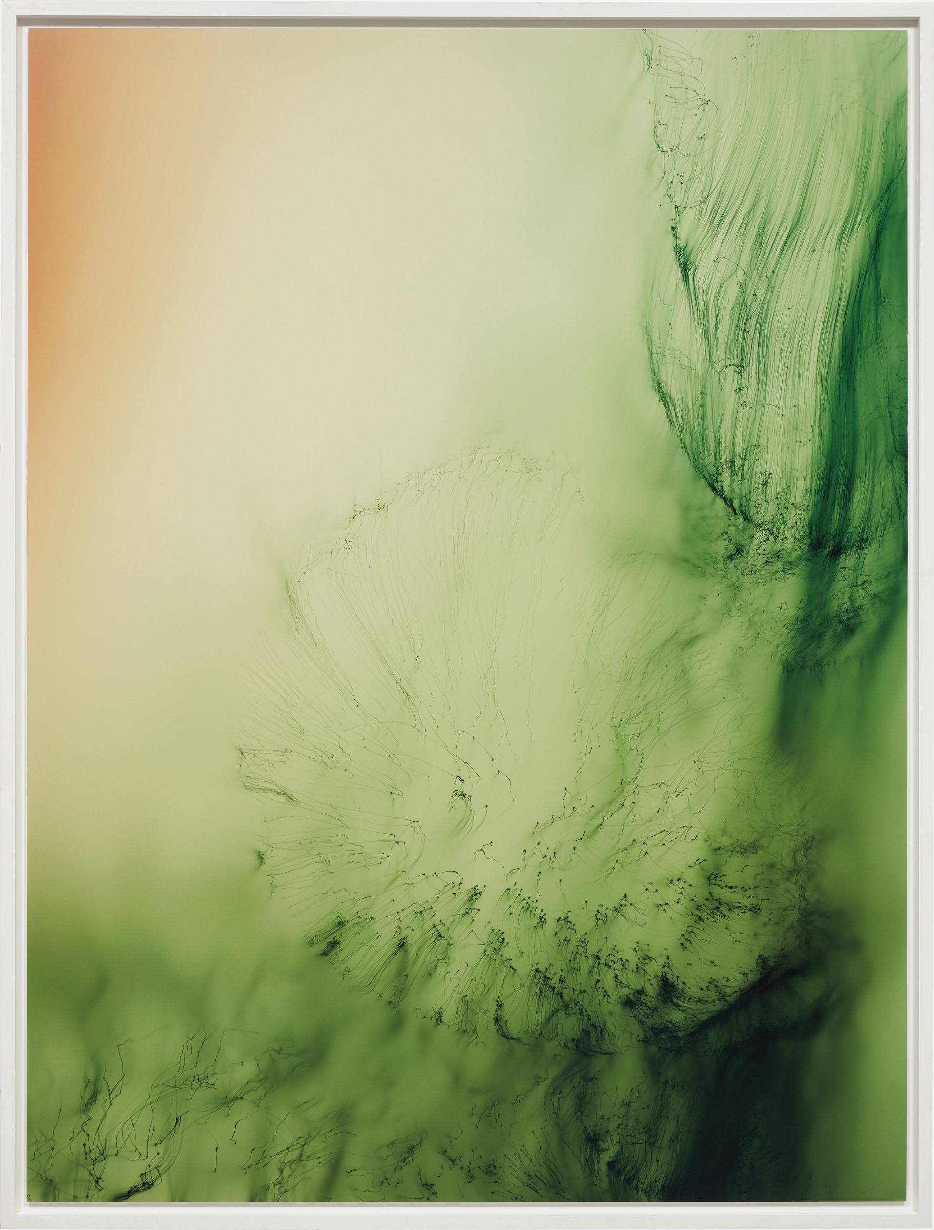 Wolfgang Tillmans 20th Century & Contemporary Art Evening Sale