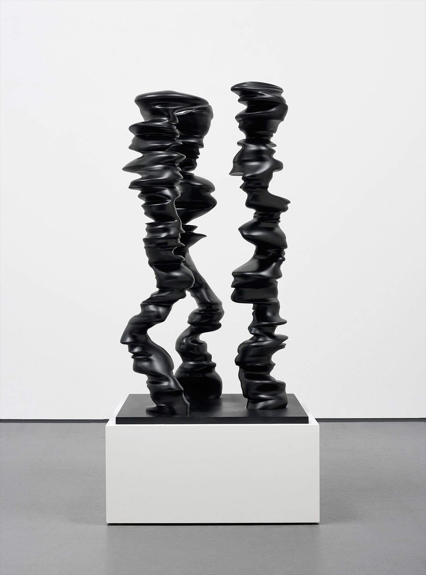 <b>TONY CRAGG</b> <i>R.A., Points of View, </i> 2007
