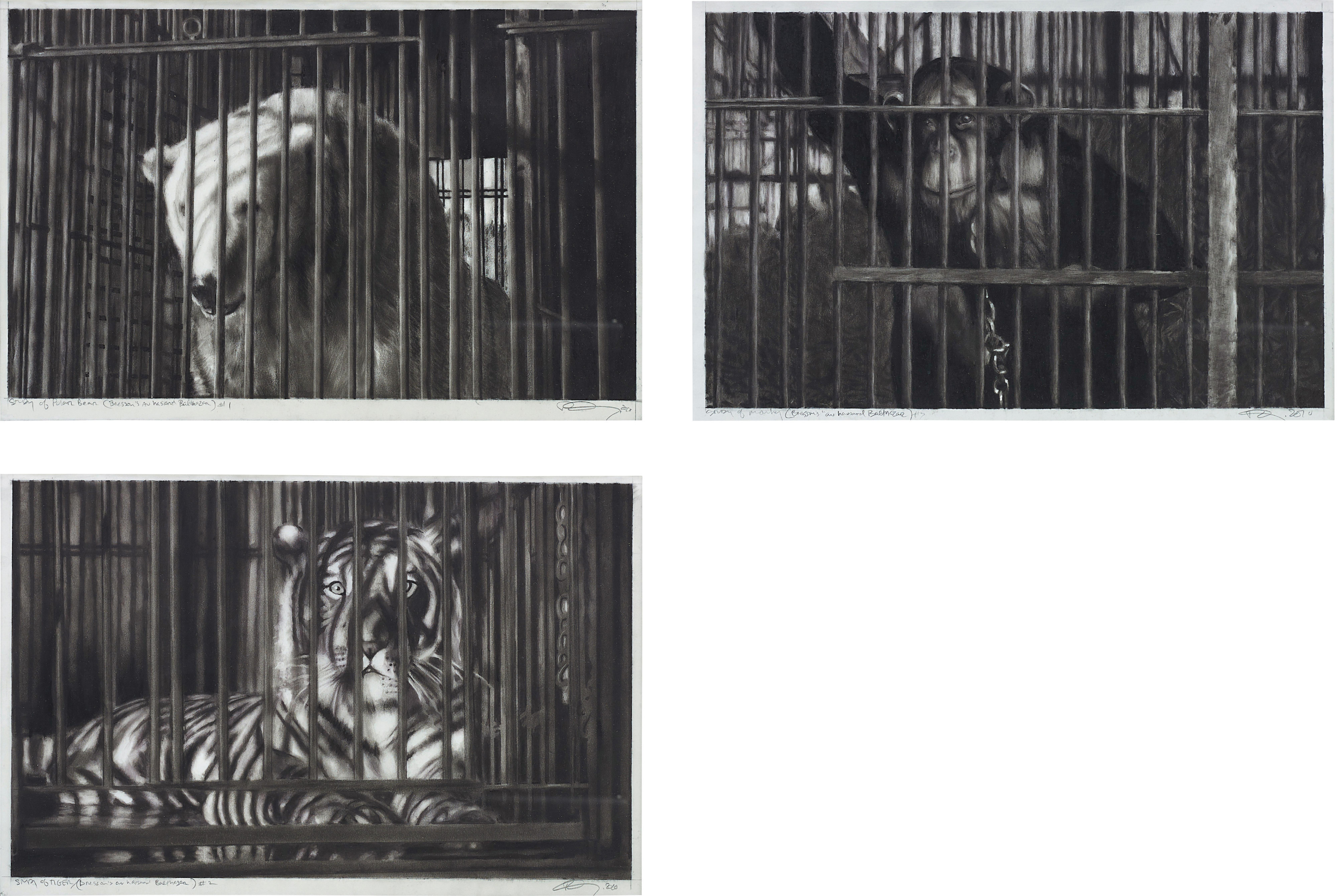 <b>ROBERT LONGO </b><i>Study of Polar Bear (Bresson's au hasard  Balthazar) #1; Study of Tiger (Bresson's au hasard Balthazar) #2; Study  of Monkey (Bresson's au hasard Balthazar) #3</i>, 2010