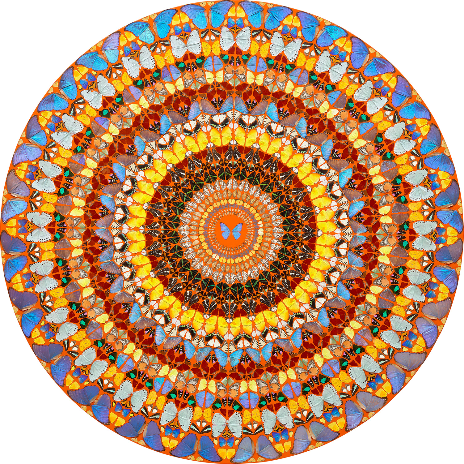 アート・デザイン・音楽 MYTHS: RANKIN AND DAMIEN HIRST Damien Hirst H6-4 Goodness (Signed Print) 2019 | For Sale