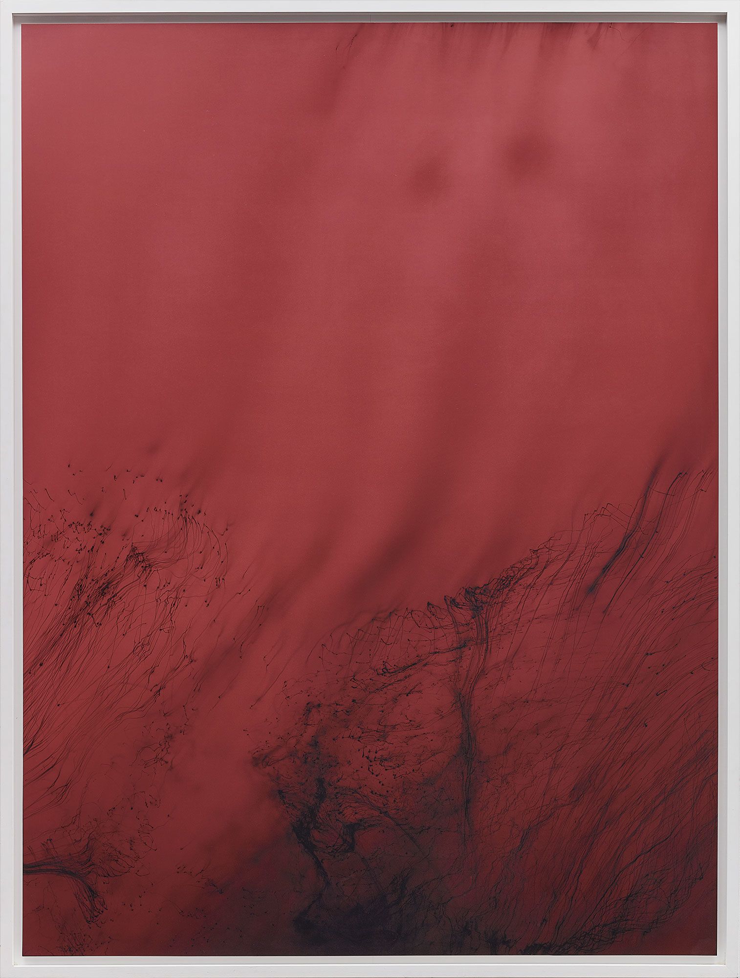 <b>WOLFGANG TILLMANS</b> <i>Einzelg&#228;nger VIII</i>, 2003