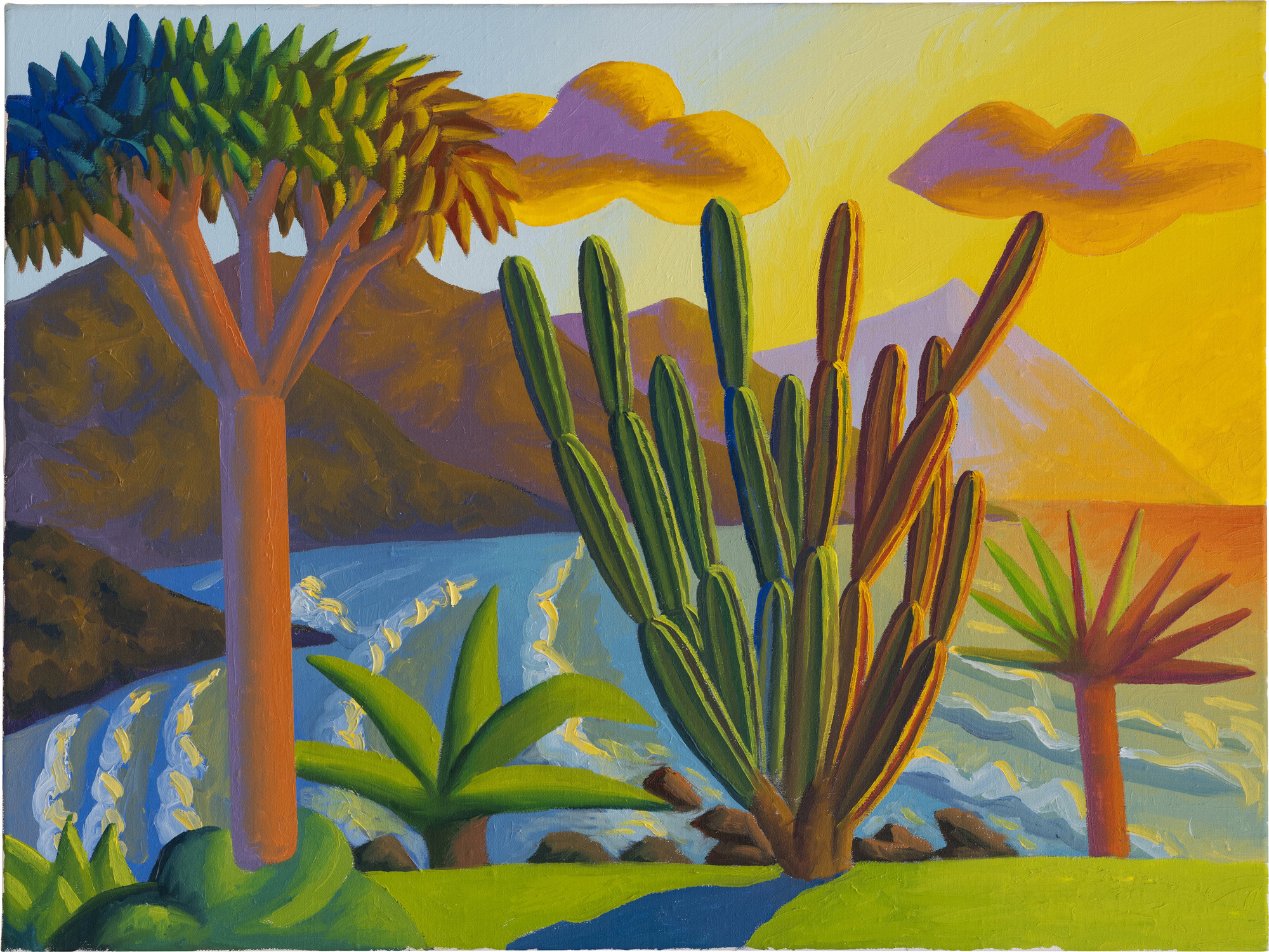 <p><strong>SALVO</strong> <em>Punta del Hidalgo</em>, 1996</p>