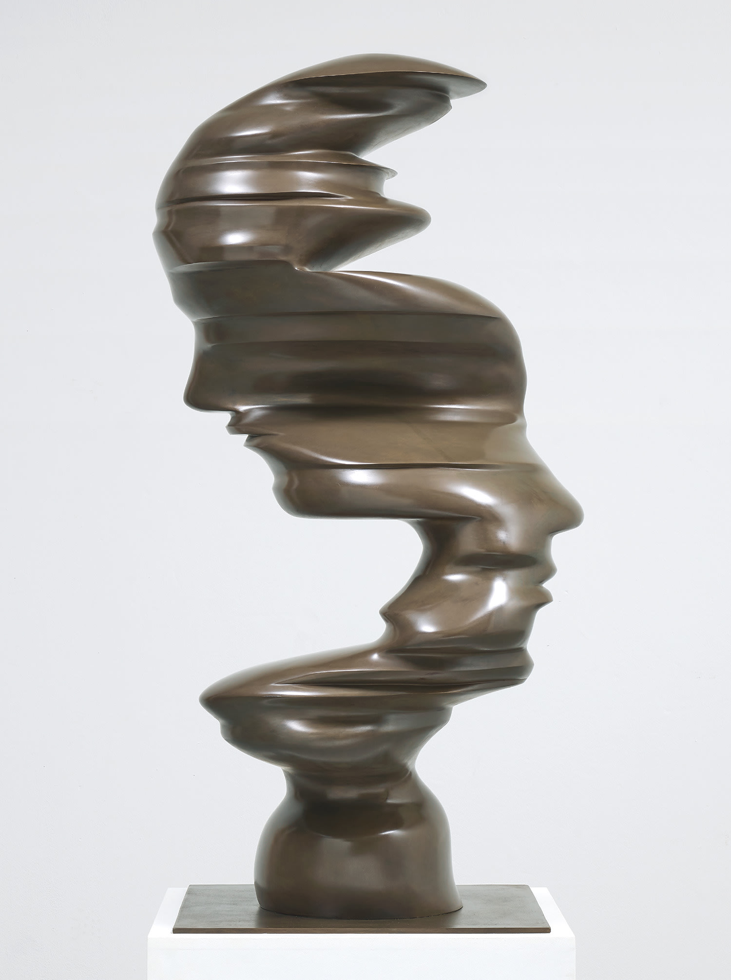 トニー・クラッグ　Tony Cragg : Signs of Life Tony Cragg: Signs of Life | Tony Cragg