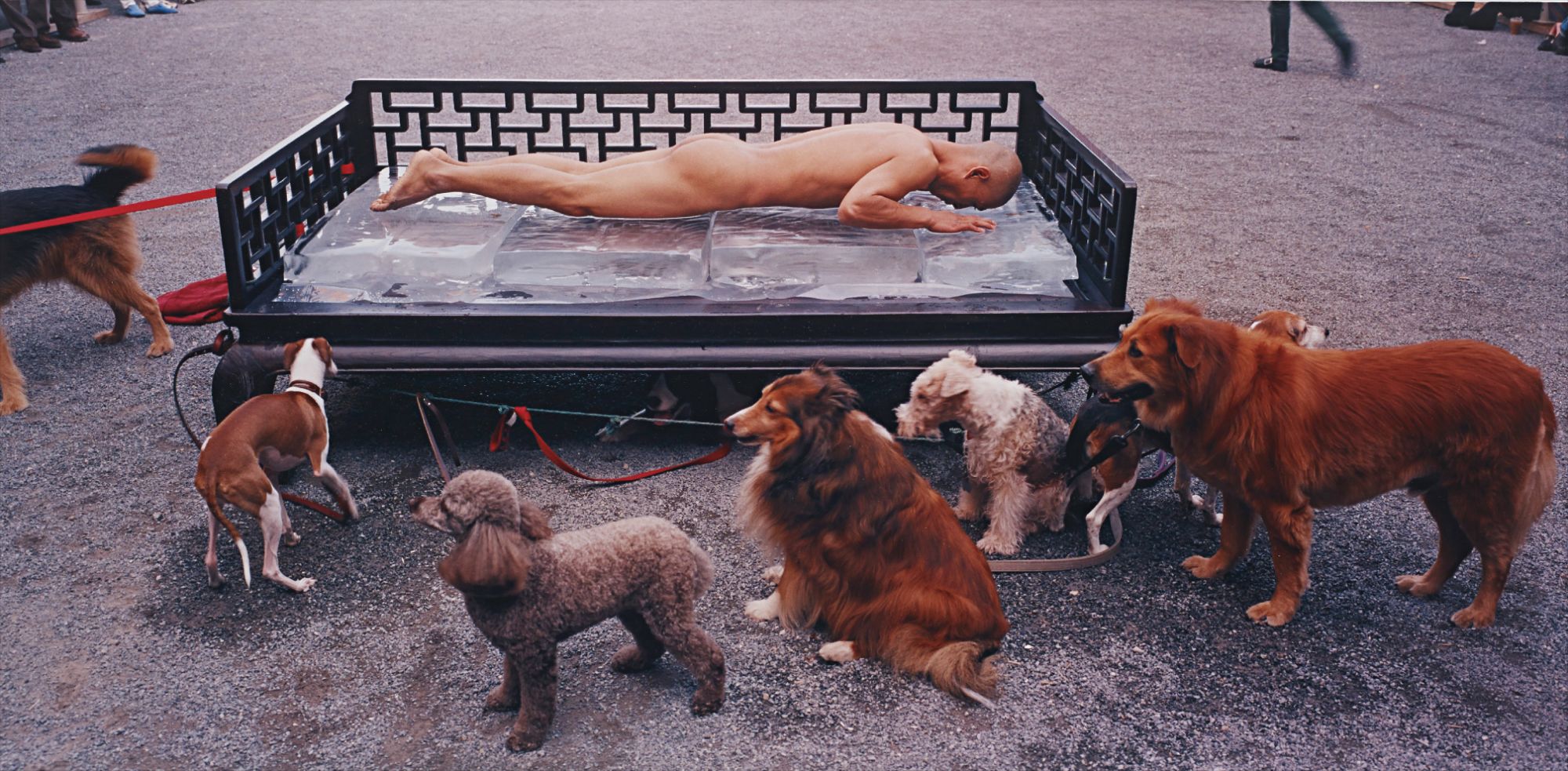 Brought to you by Phillips