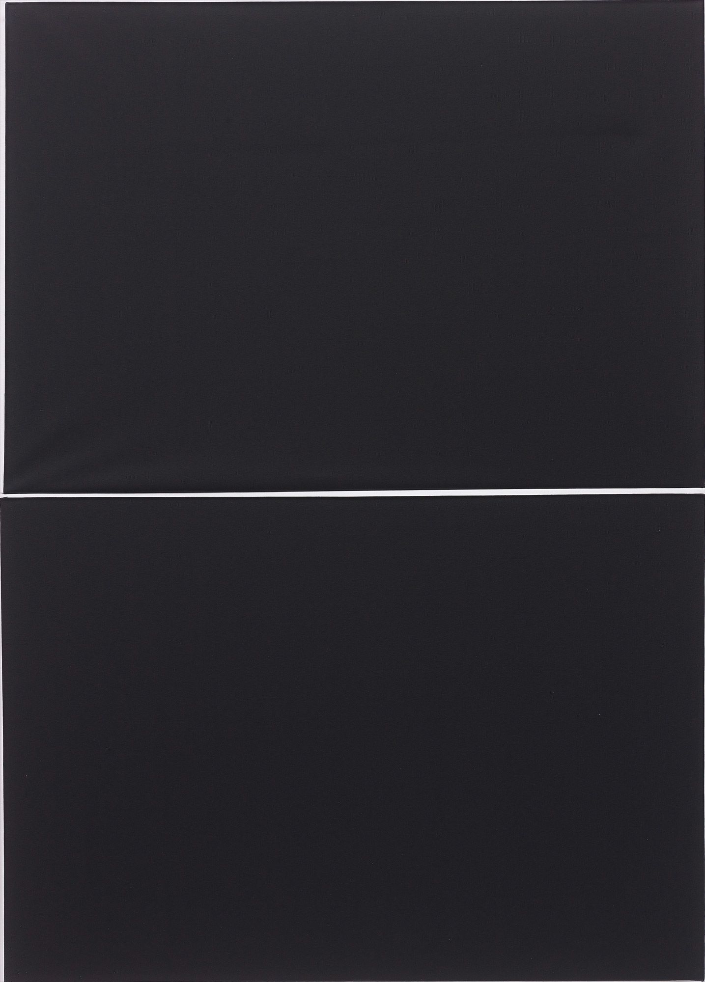 <b>RYAN ESTEP</b> <i>No. 1 from the series Re-Stretched Black & White,</i> 2013