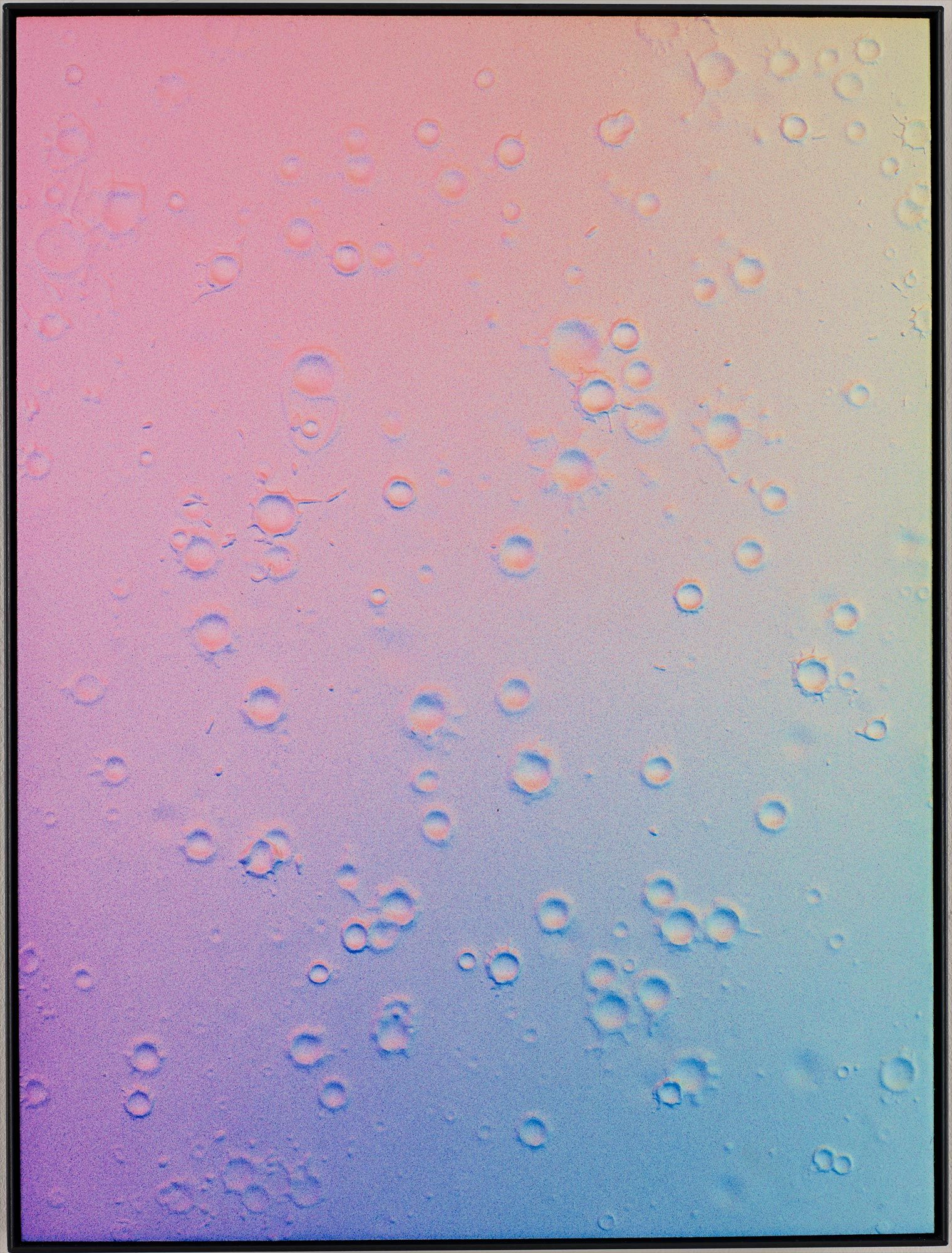 <b>MICHAEL STANIAK</b> <i>SC/IMG_435,</i> 2013