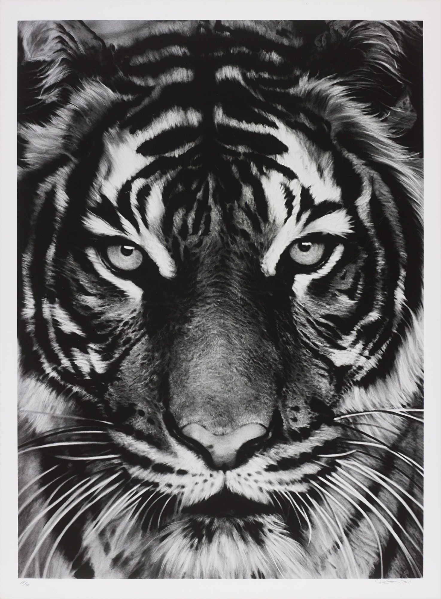 <b>ROBERT LONGO</b> <i>Tiger,</i> 2011
