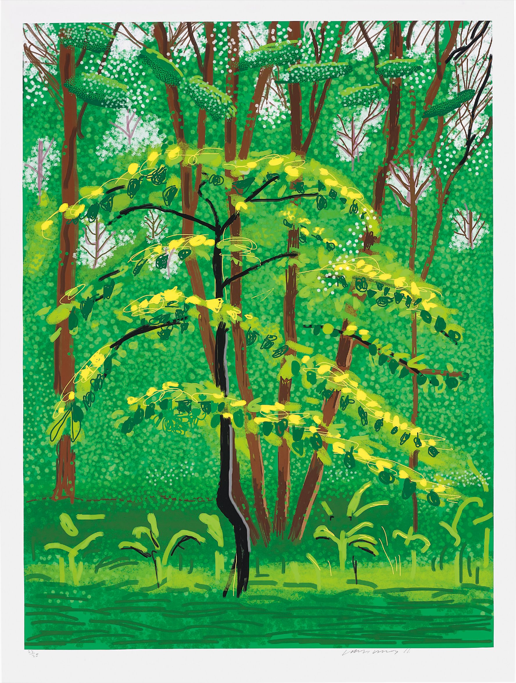 David Hockney Evening & Day Editions