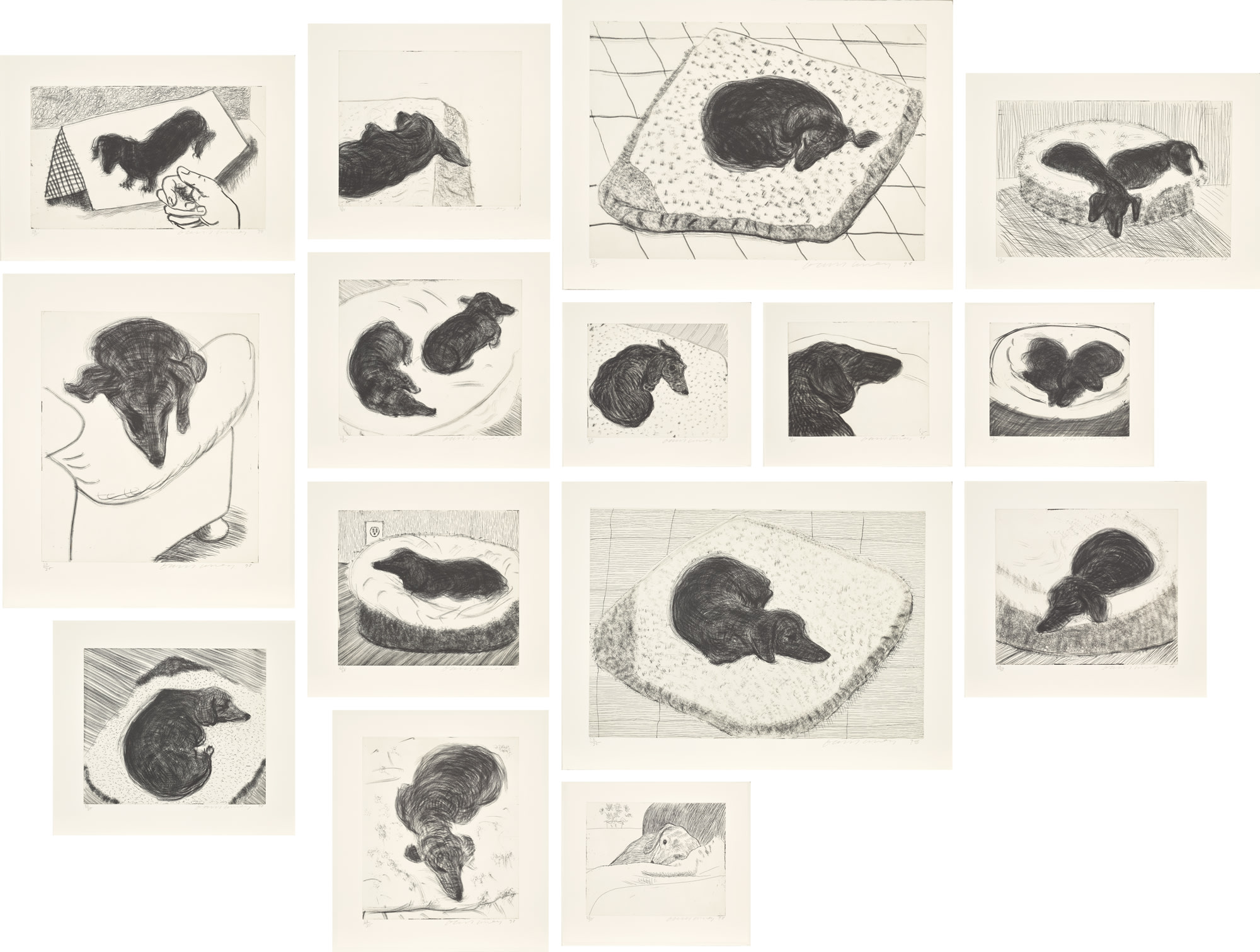 <p><strong>DAVID HOCKNEY</strong> <em>Dog Wall</em>, 1998</p>