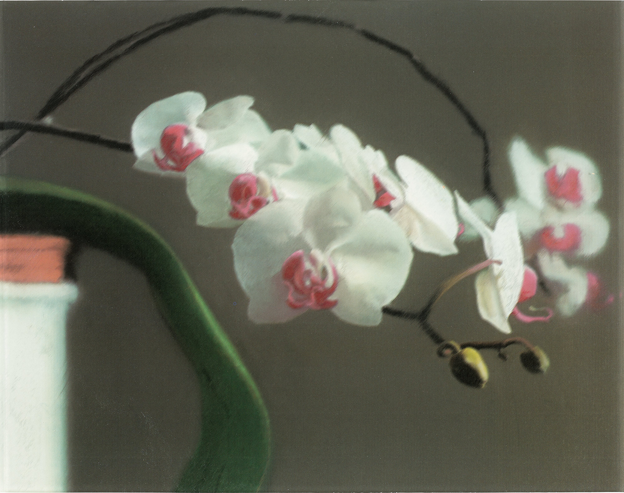 <p><strong>GERHARD RICHTER</strong> <em>Orchidee II (Orchid II),</em> 1998</p>