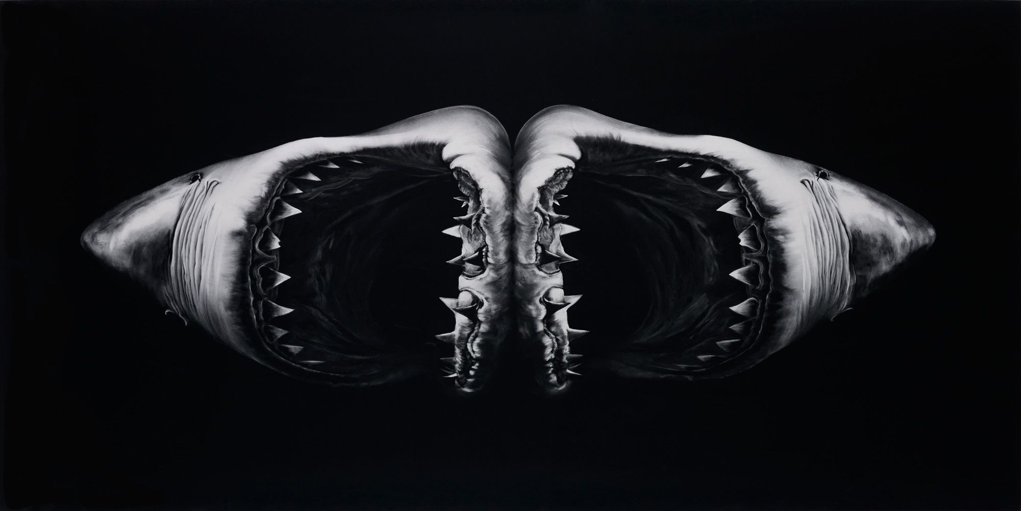 <b>ROBERT LONGO </b><i>Double Shark,</i> 2010