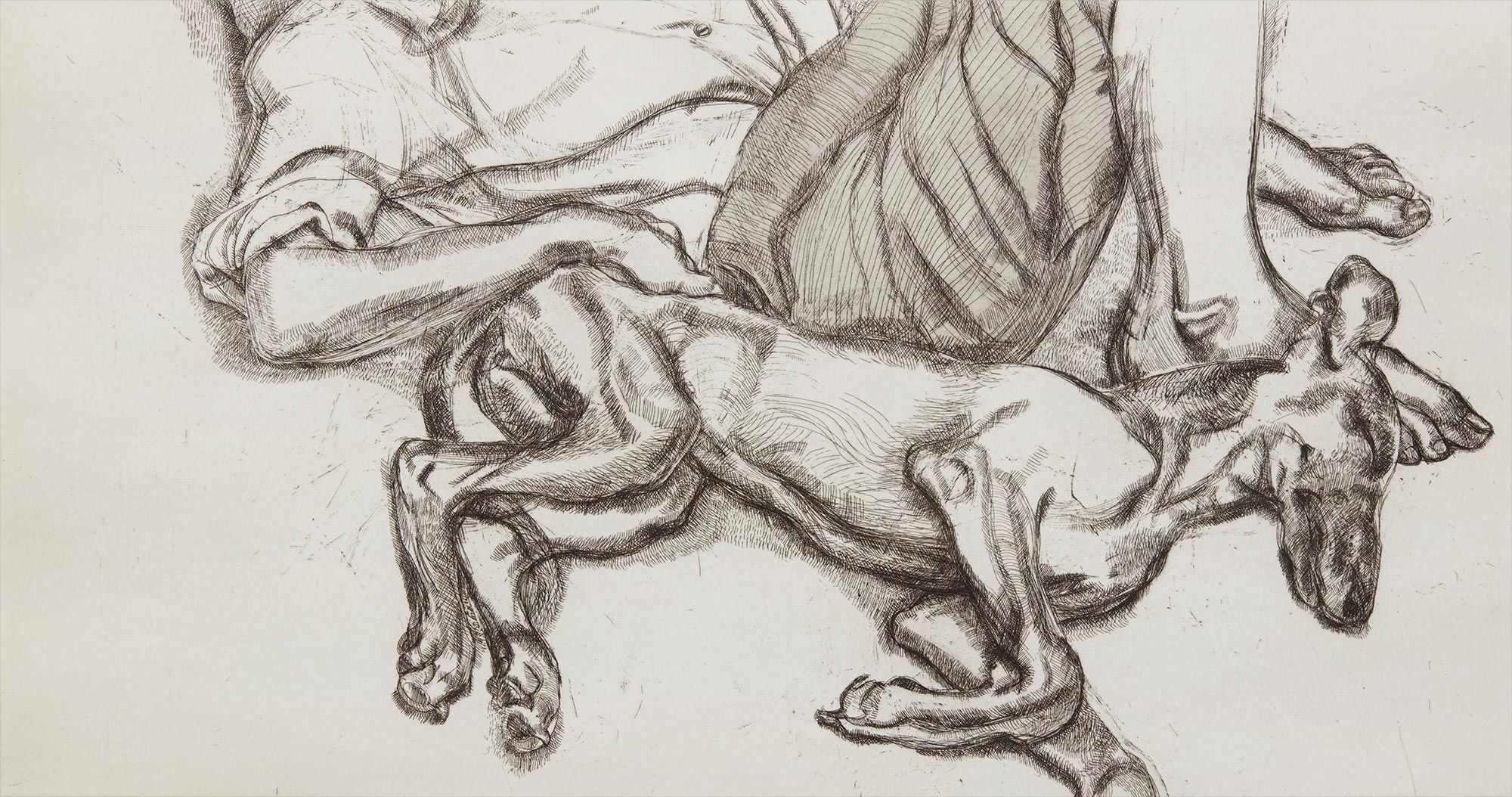 <b>LUCIAN FREUD</b> <i>Pluto</i>, 1988