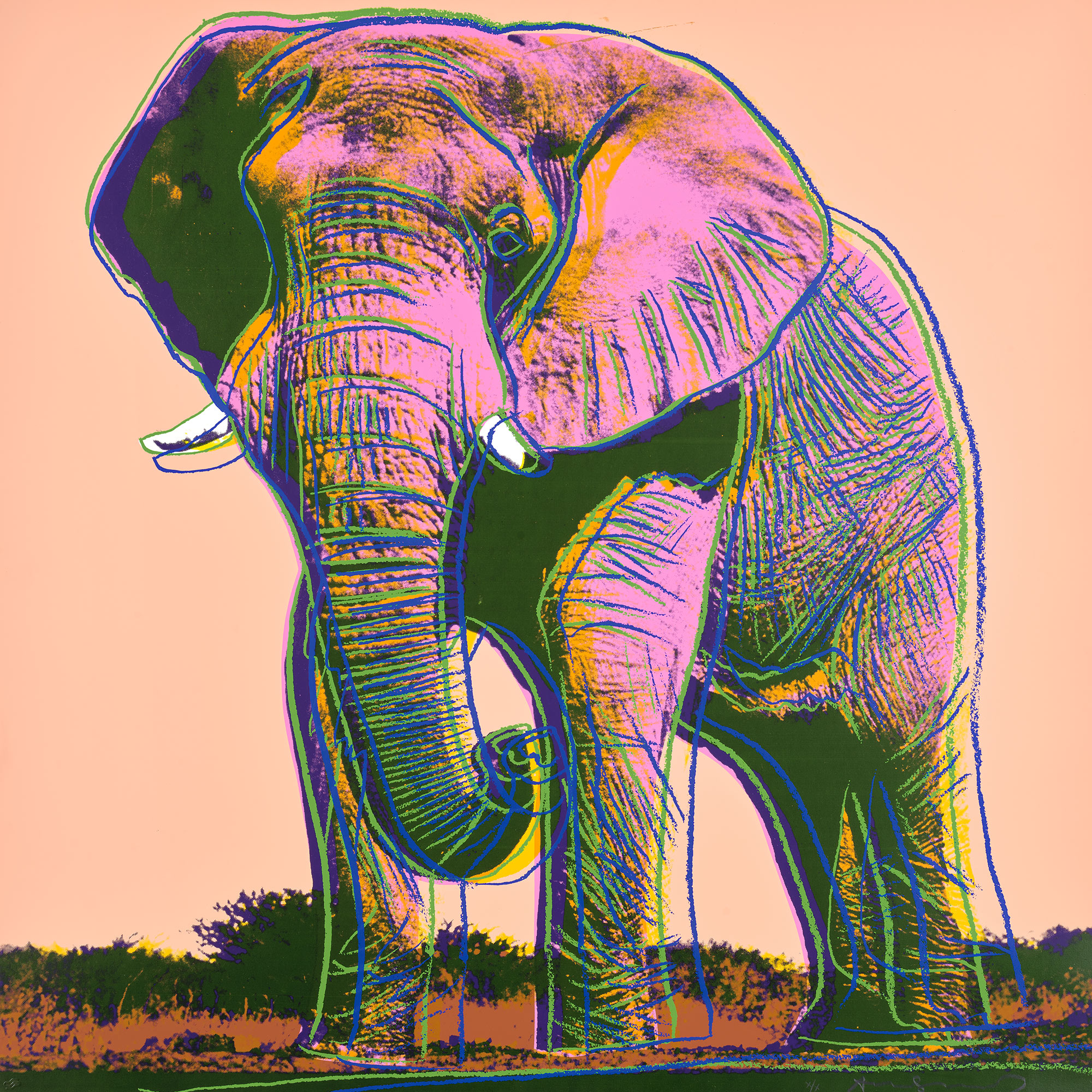 <p><strong>ANDY WARHOL </strong><em>African Elephant,</em> from <em>Endangered Species,</em> 1983</p>
