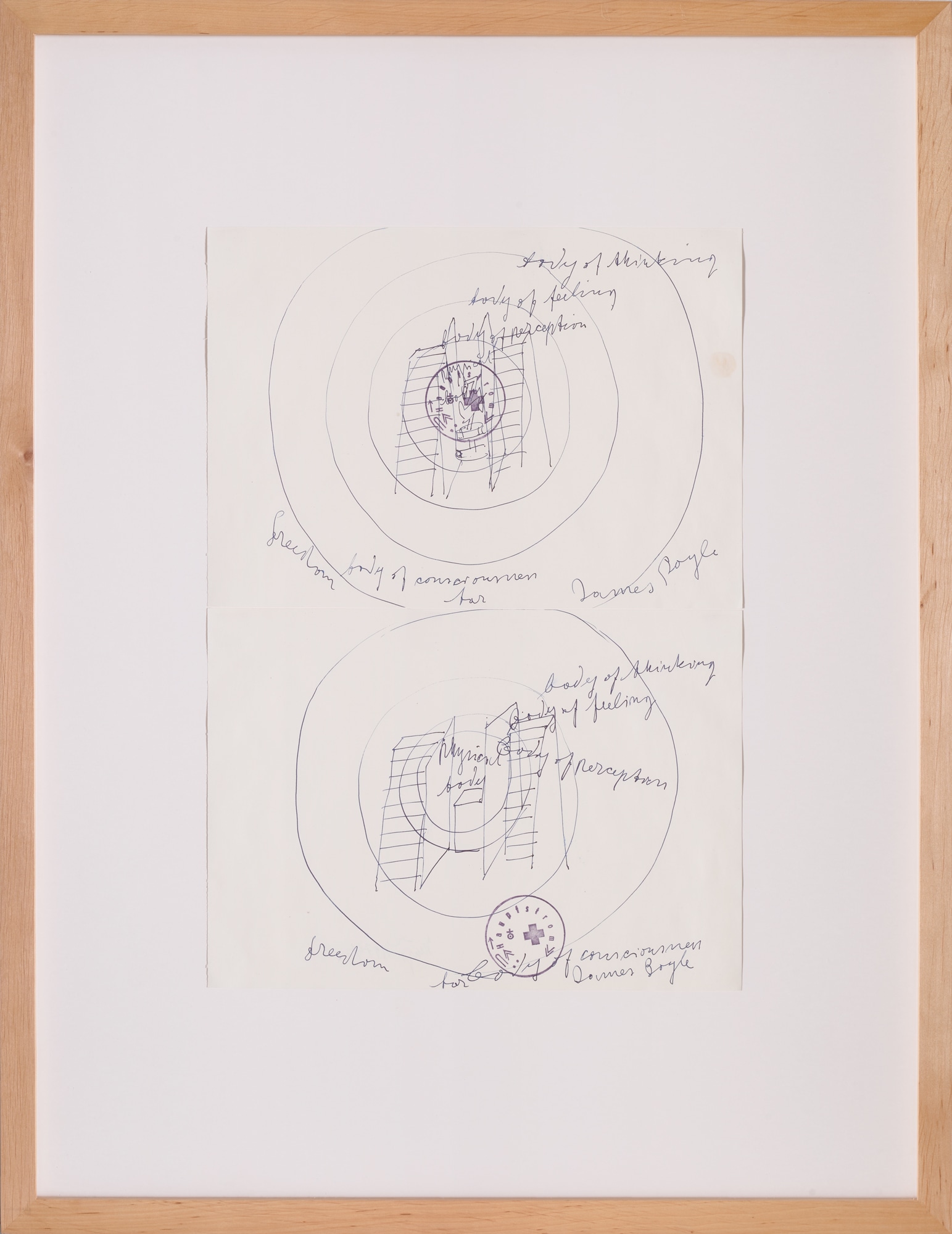 洋書 Drawings    JOSEPH BEUYS Joseph Beuys: Drawings Based On The Codices Madrid By Da
