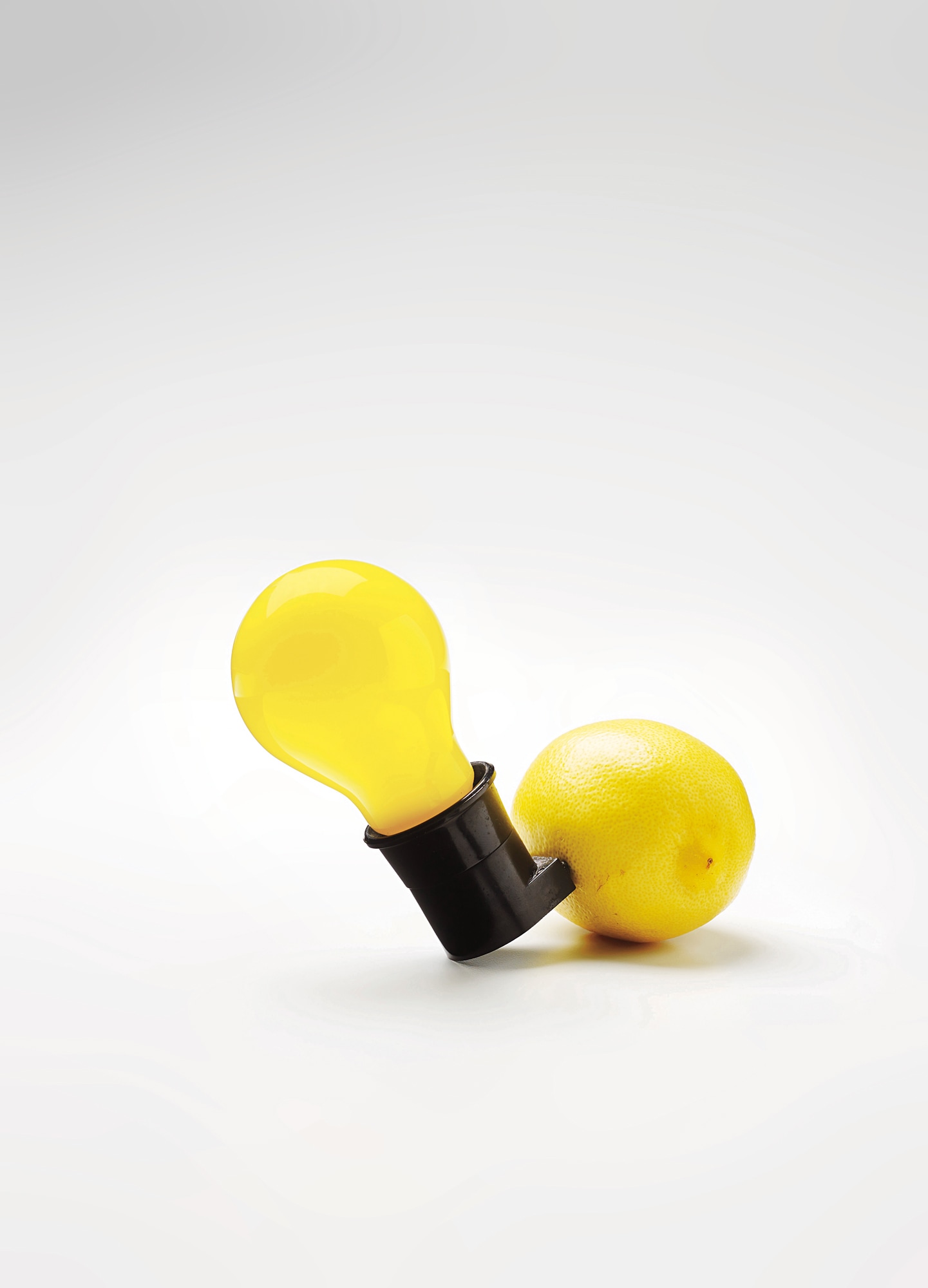 <p><strong>JOSEPH BEUYS</strong> <em>BRYONIA</em>, 1981</p>
