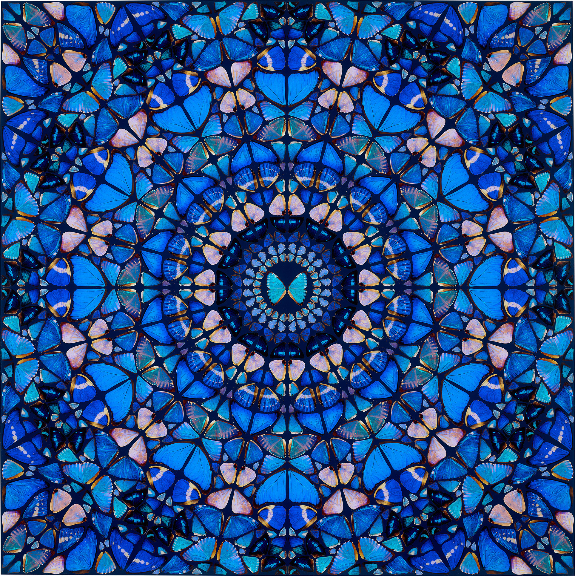 <p><strong>DAMIEN HIRST </strong><em>Truth, </em>from <em>The Aspects</em>, 2019</p>