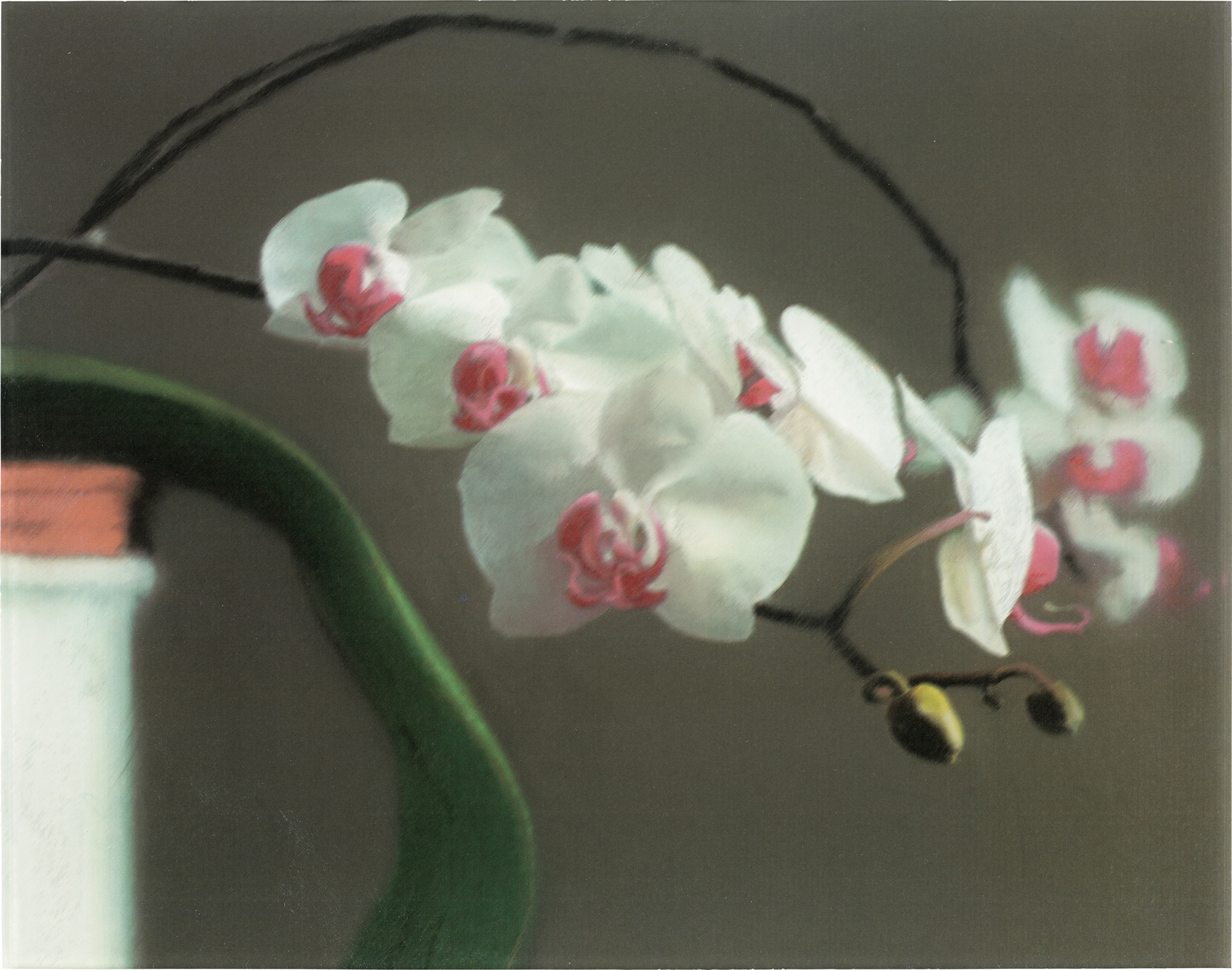 <p><strong>GERHARD RICHTER</strong> <em>Orchidee II (Orchid II),</em> 1998</p>