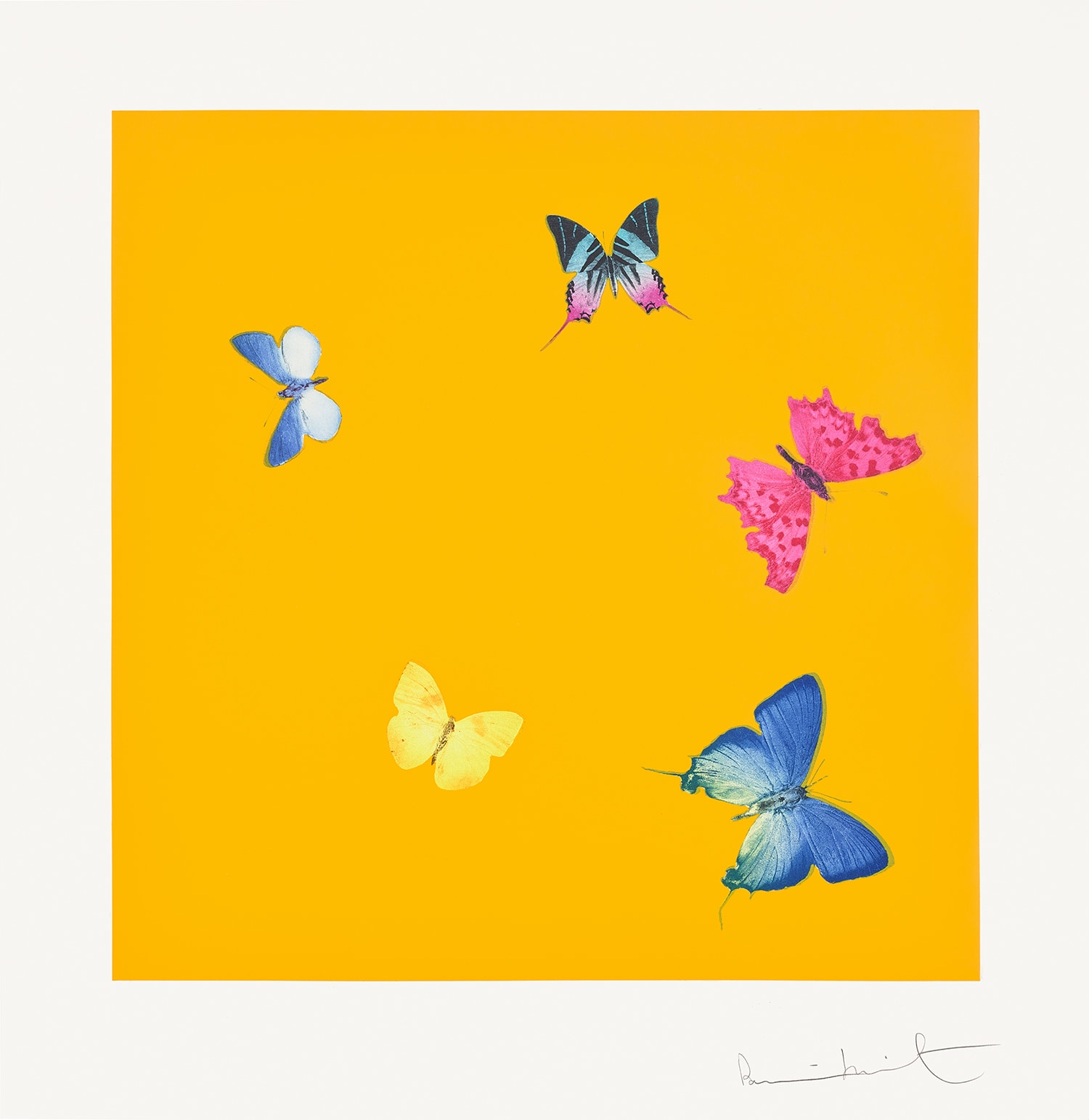 Lot 7