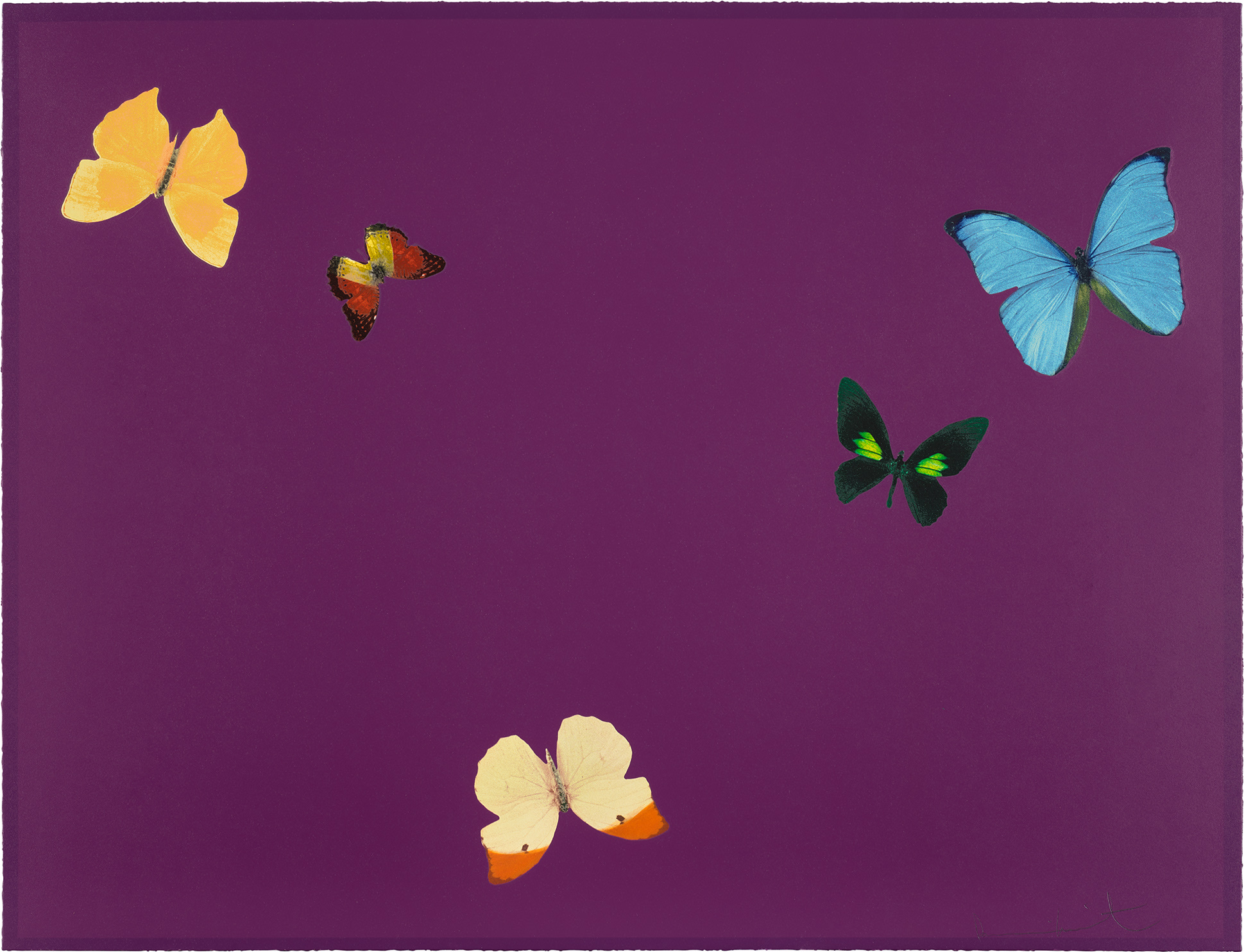<p><strong>DAMIEN HIRST</strong> <em>Be Thoughtful, </em>from<em> Lessons in Love</em>, 2018</p>
