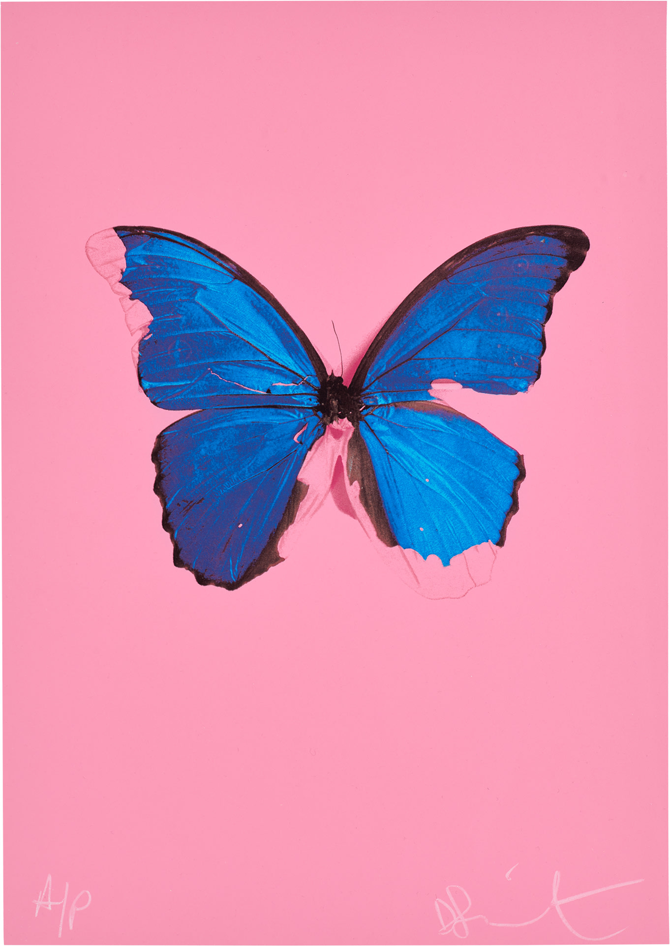 <p><strong>DAMIEN HIRST</strong> <em>Blue Butterfly, </em>from<em> In The Darkest Hour There May Be Light</em>, 2006</p>
