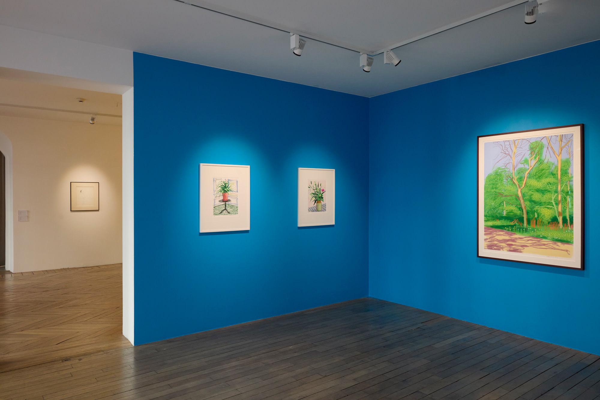 <p><em>Paris Exhibition, with Highlights from our 2025 David Hockney Auction</em></p>
