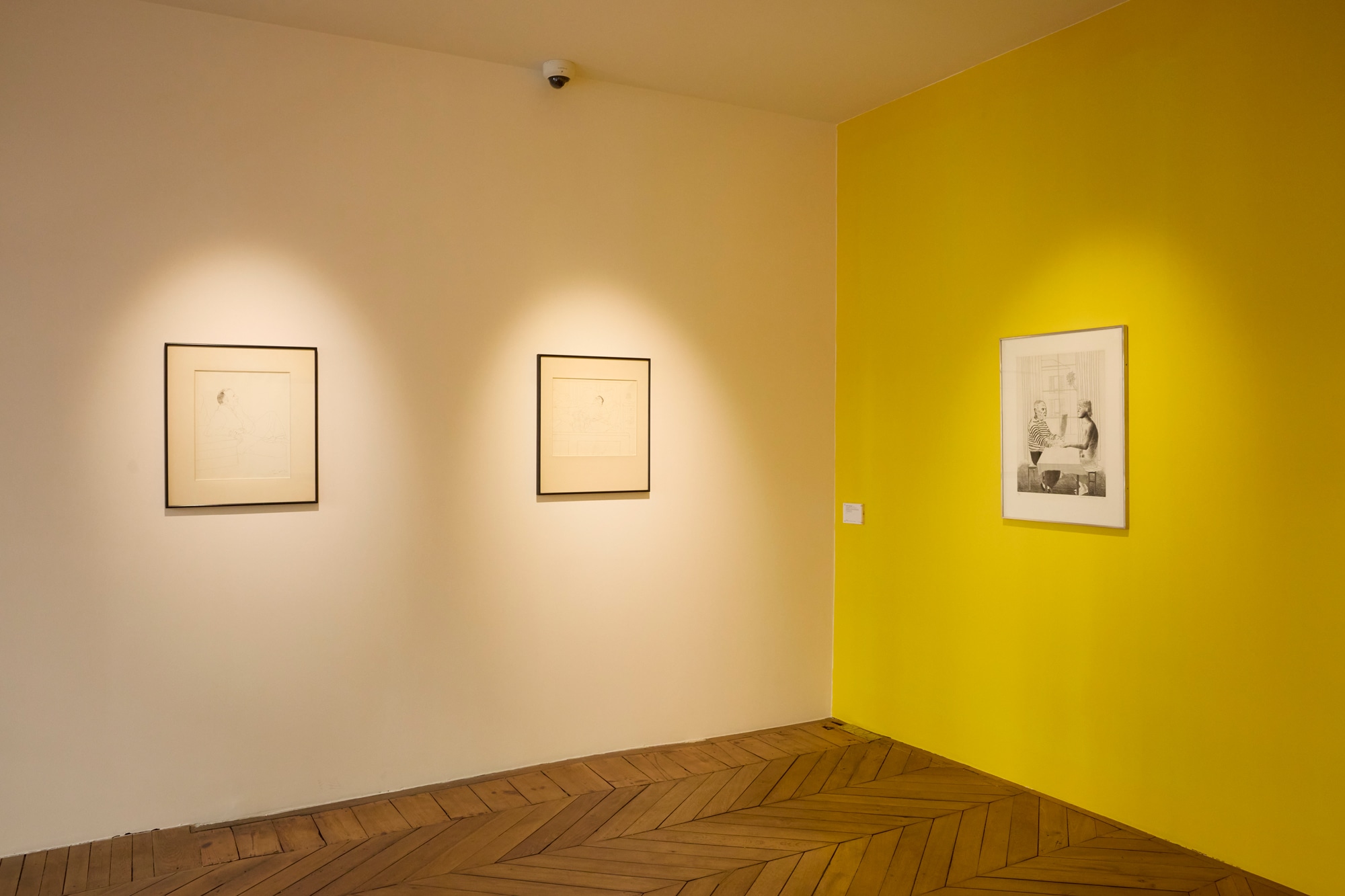 <p><em>Paris Exhibition, with Highlights from our 2025 David Hockney Auction</em></p>
