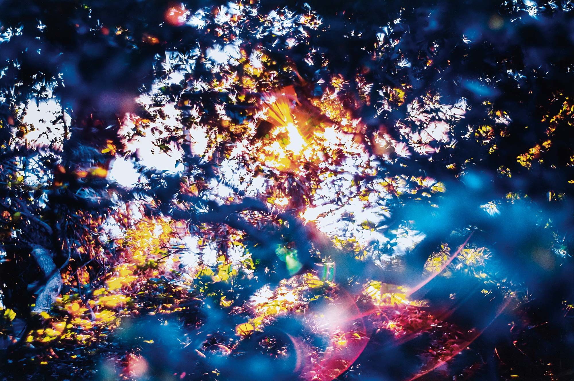 <b>YOSUKE TAKEDA</b> <i>Stay Gold 144540 from Digital Flare,</i> 2014