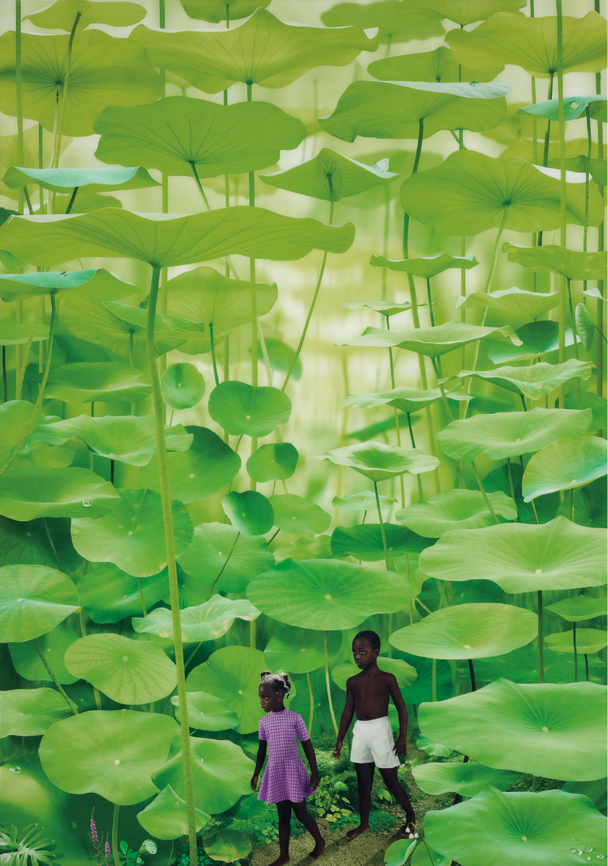 Brought to you by Phillips