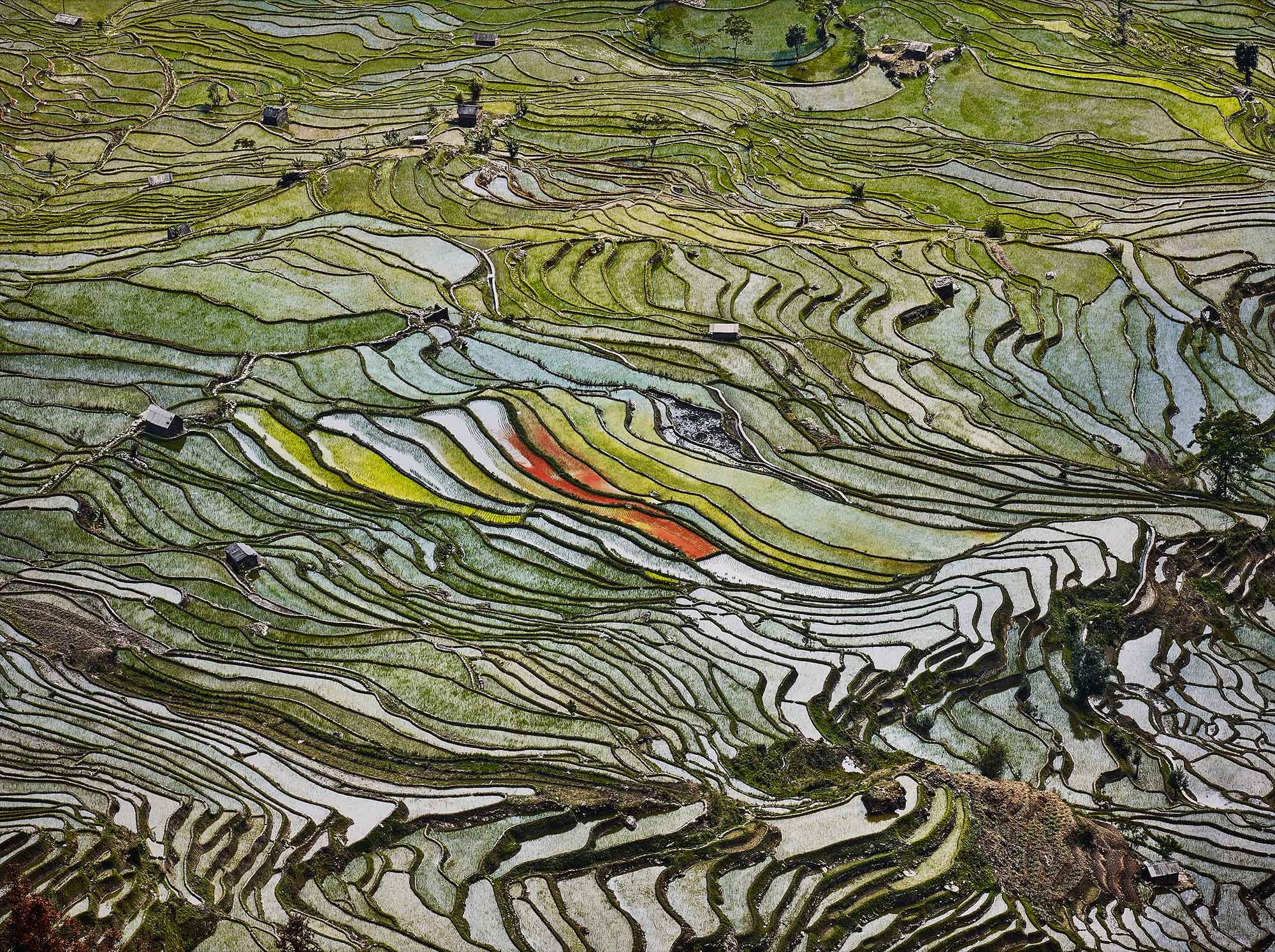 <b>EDWARD BURTYNSKY </b><i>Rice Terraces #2, Western Yunnan Province, China</i>, 2012